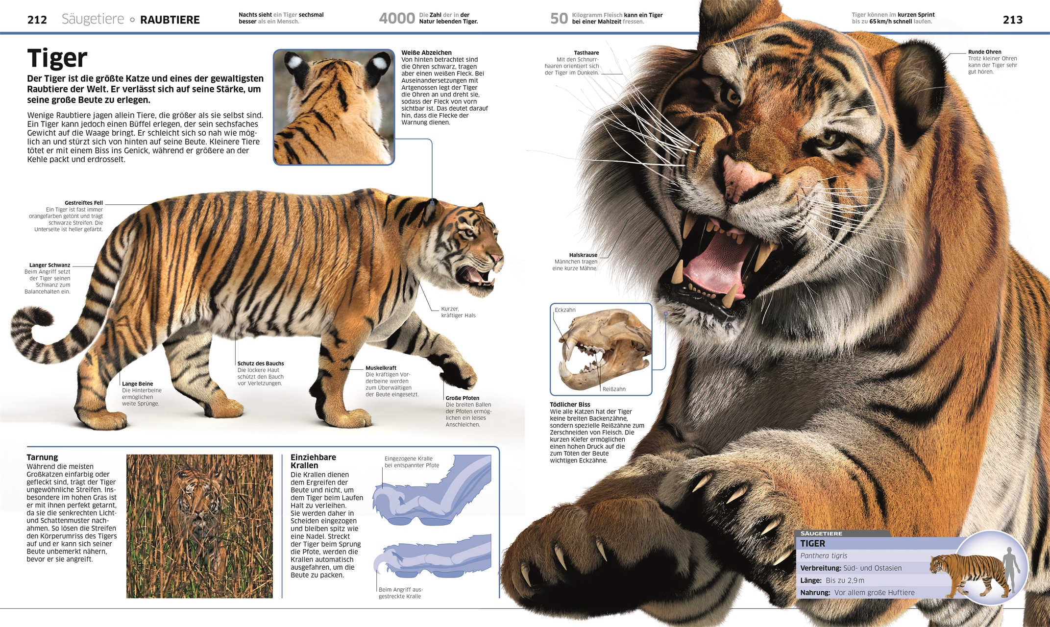 9783831033409_innenansicht_04 9783831033409_innenansicht_04.jpg