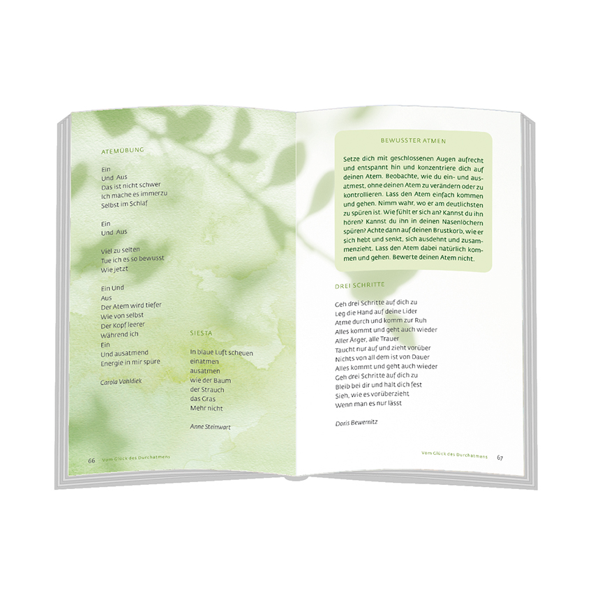 9783869179575_innenansicht_02 9783869179575_innenansicht_02.jpg