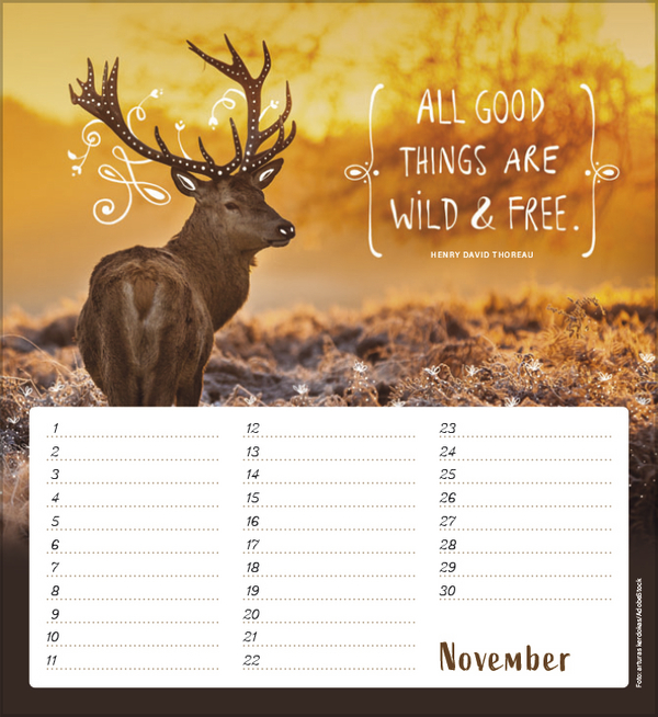 9783731880516_innenansicht_11 9783731880516_innenansicht_11.jpg