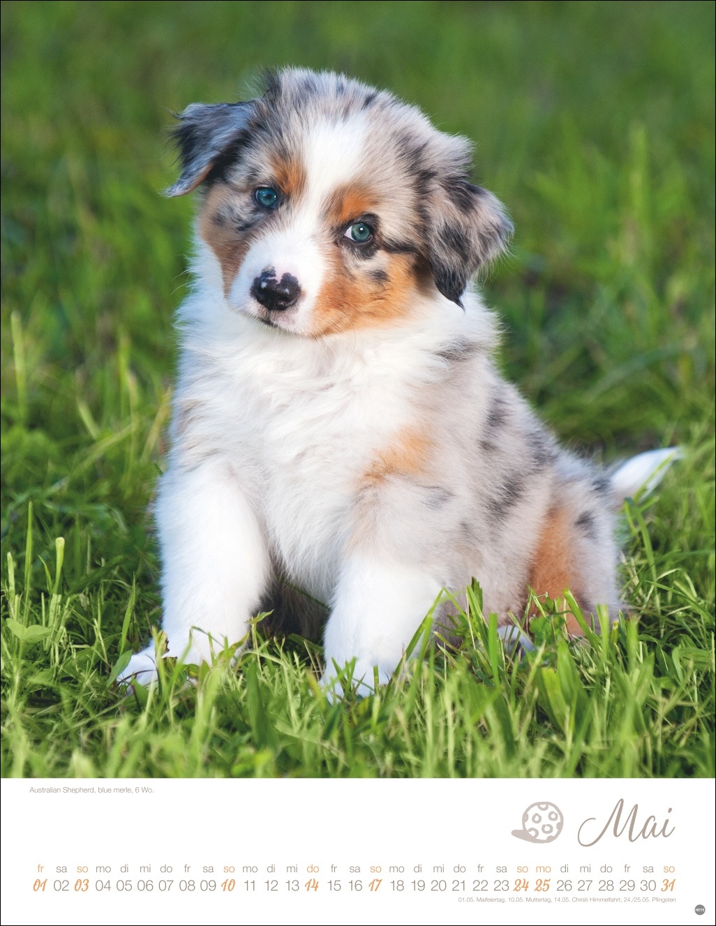 9783756410811_innenansicht_05 9783756410811_innenansicht_05.jpg