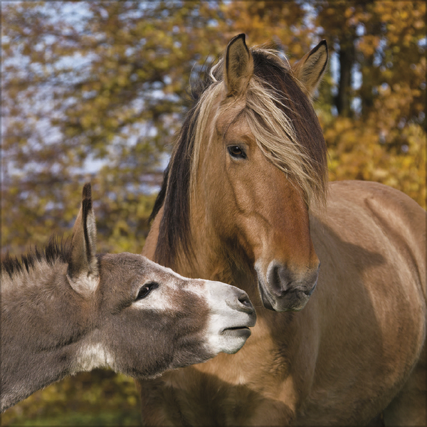 9783731883852_innenansicht_11.jpg