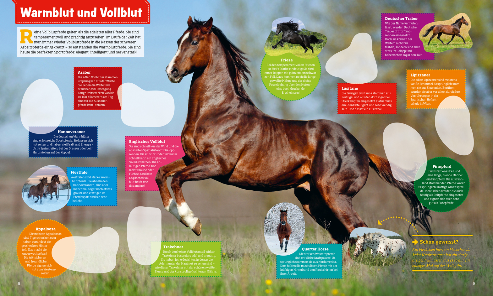 9783788621544_innenansicht_02 9783788621544_innenansicht_02.jpg