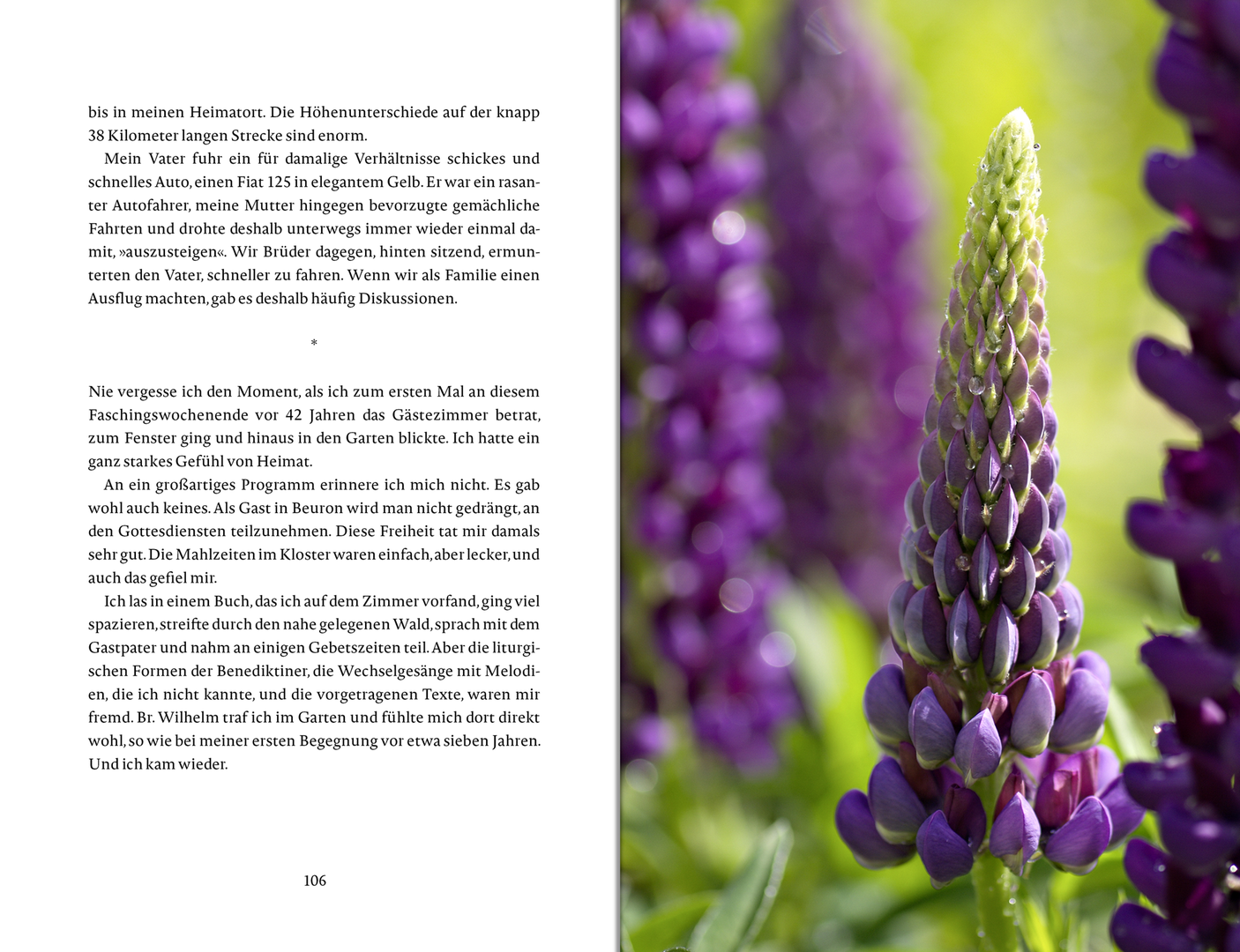 9783963402081_innenansicht_09 9783963402081_innenansicht_09.png