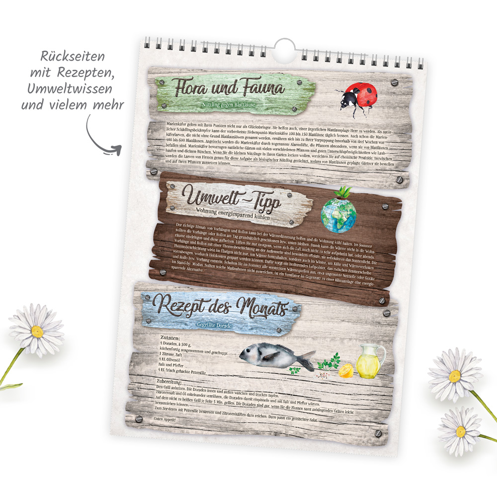 9783988024008_innenansicht_03 9783988024008_innenansicht_03.jpg