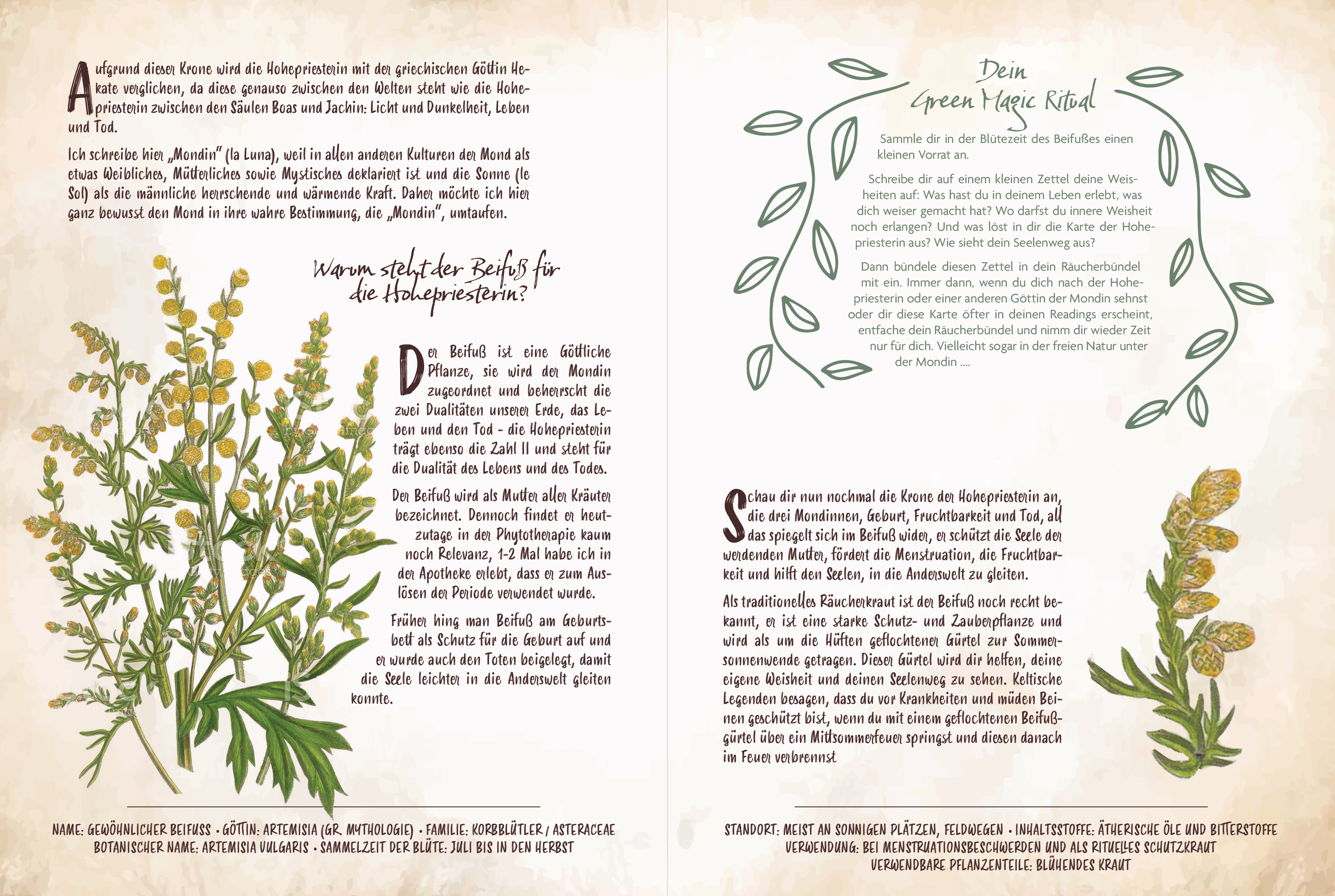 9783868267983_innenansicht_02 9783868267983_innenansicht_02.jpg