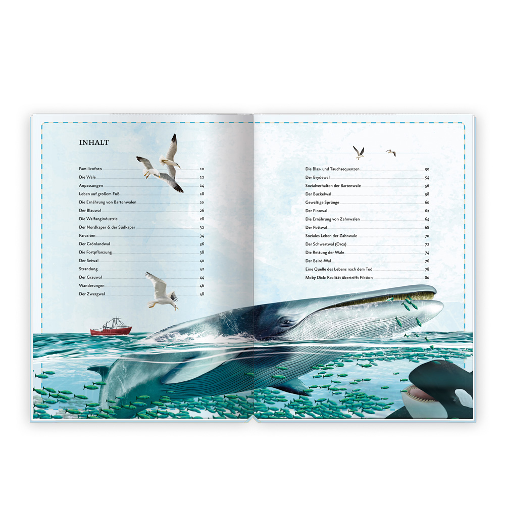 9783988023452_innenansicht_01 9783988023452_innenansicht_01.jpg