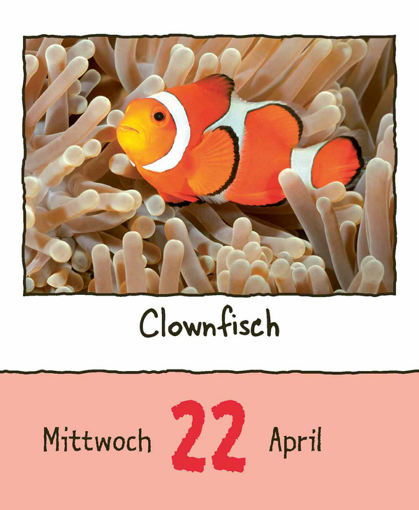 9783731889182_innenansicht_06.jpg