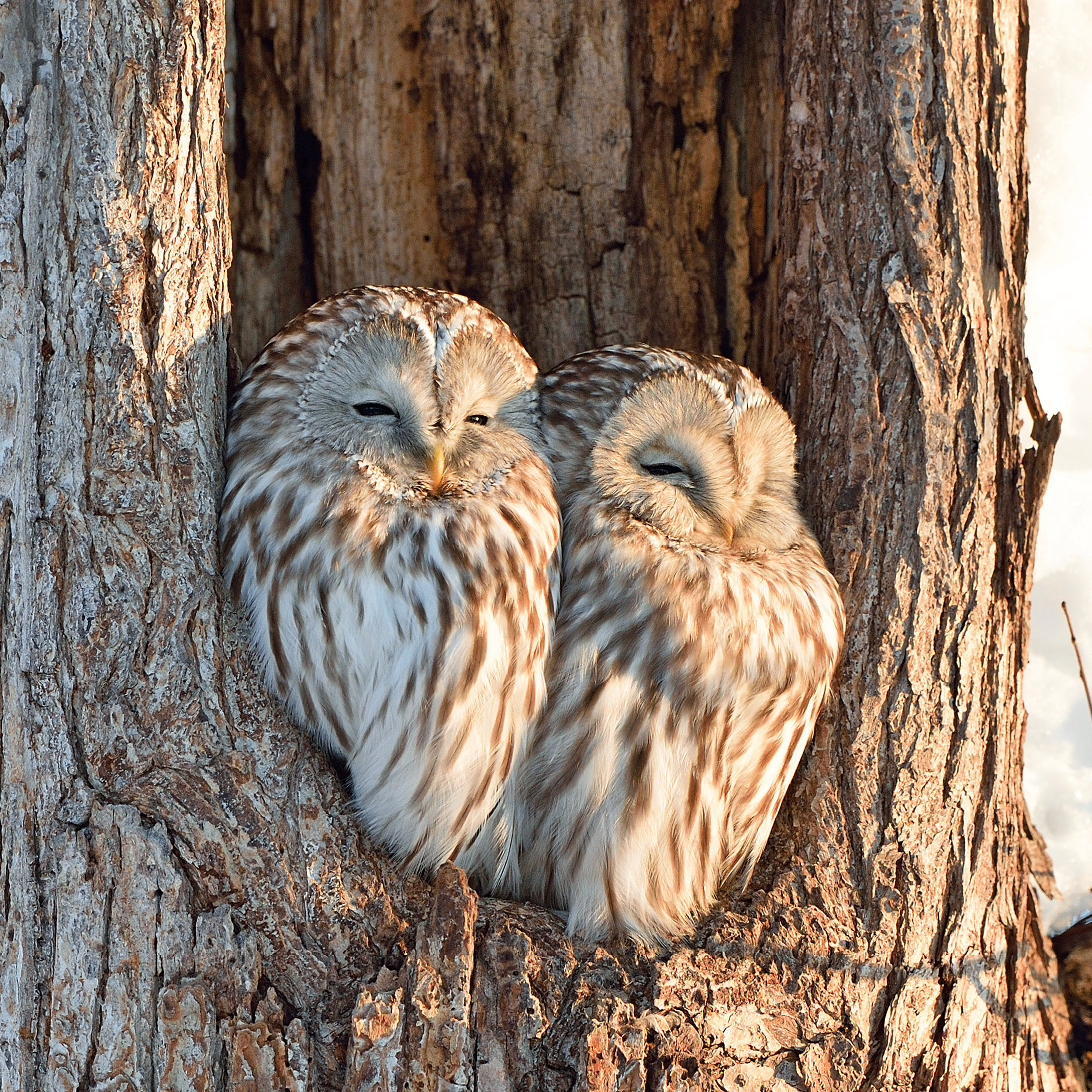 9783959295208_innenansicht_03 9783959295208_innenansicht_03.jpg