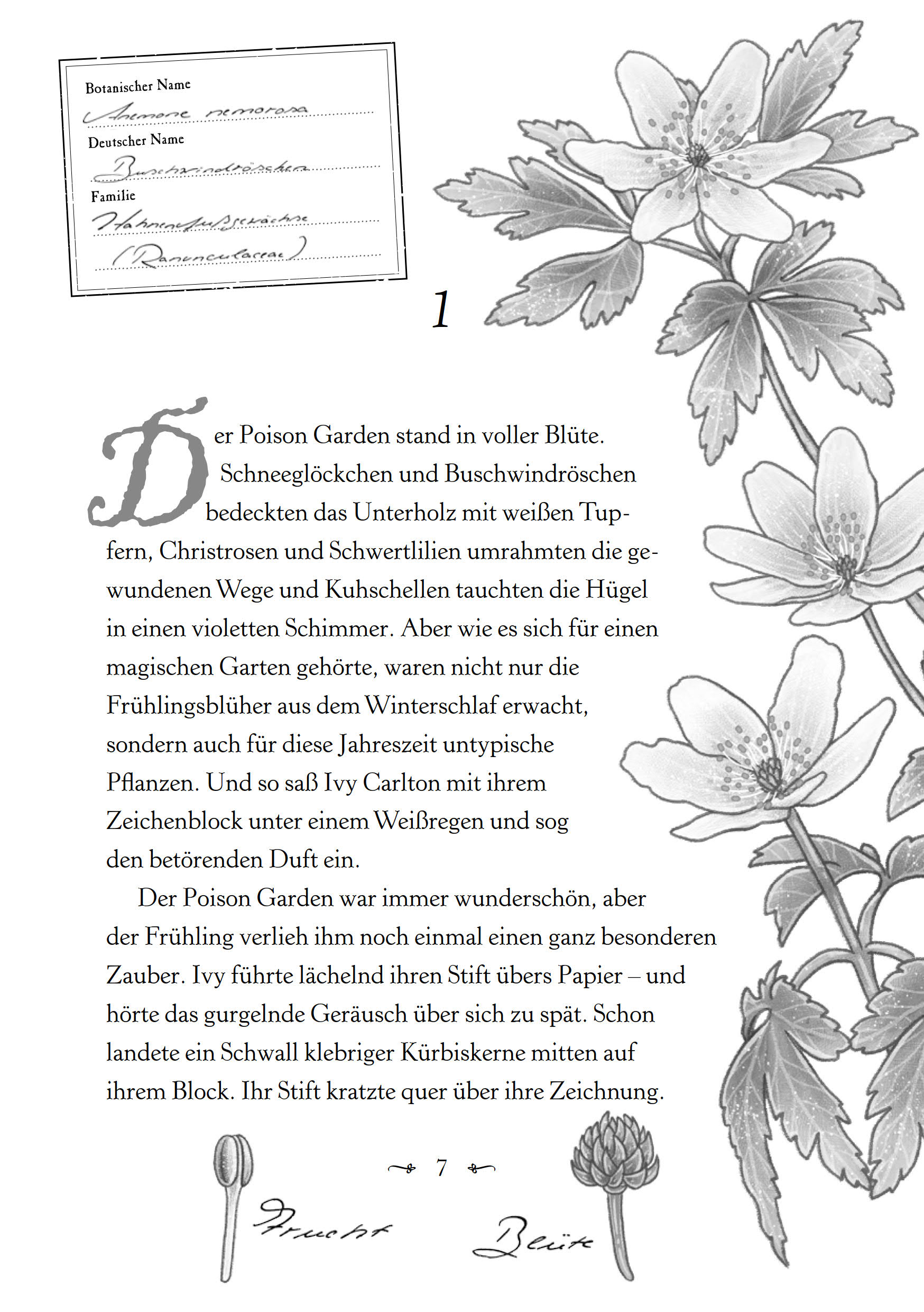 9783833909191_innenansicht_09 9783833909191_innenansicht_09.jpg