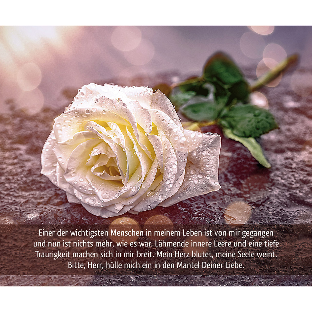 9783863387228_innenansicht_02.jpg
