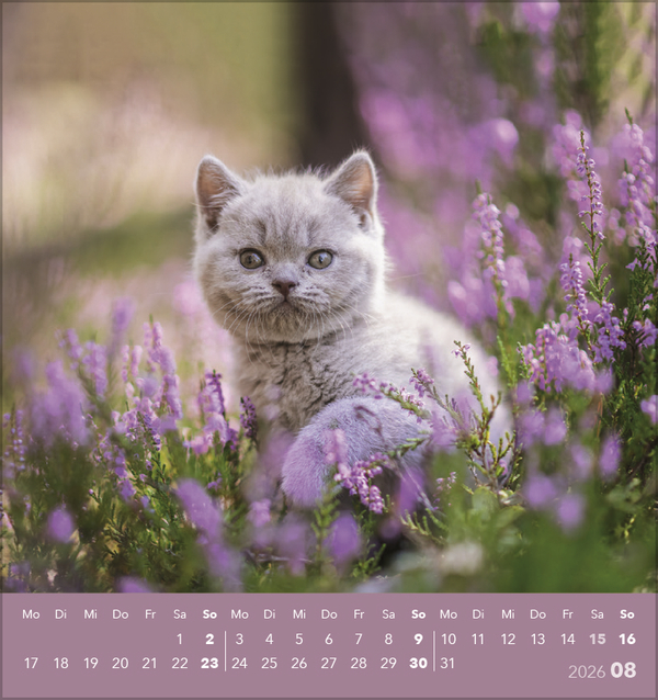 9783731884071_innenansicht_08 9783731884071_innenansicht_08.jpg