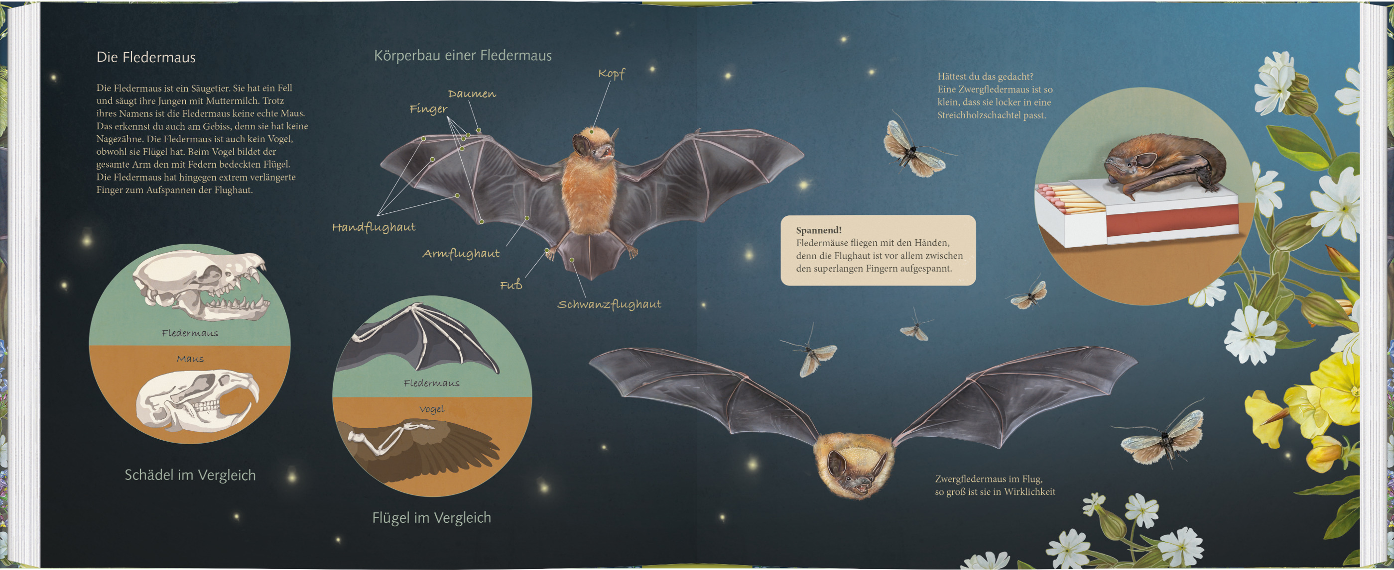 9783836963060_innenansicht_01 9783836963060_innenansicht_01.jpg