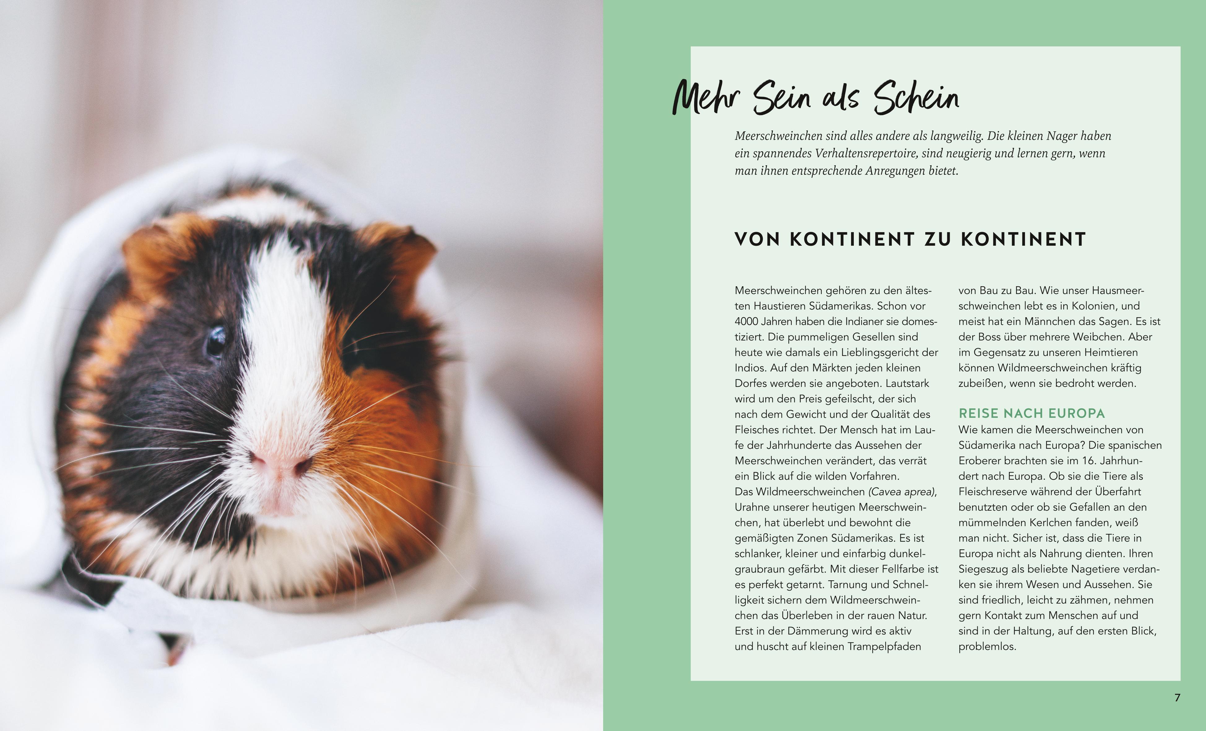 9783833897351_innenansicht_02.jpg
