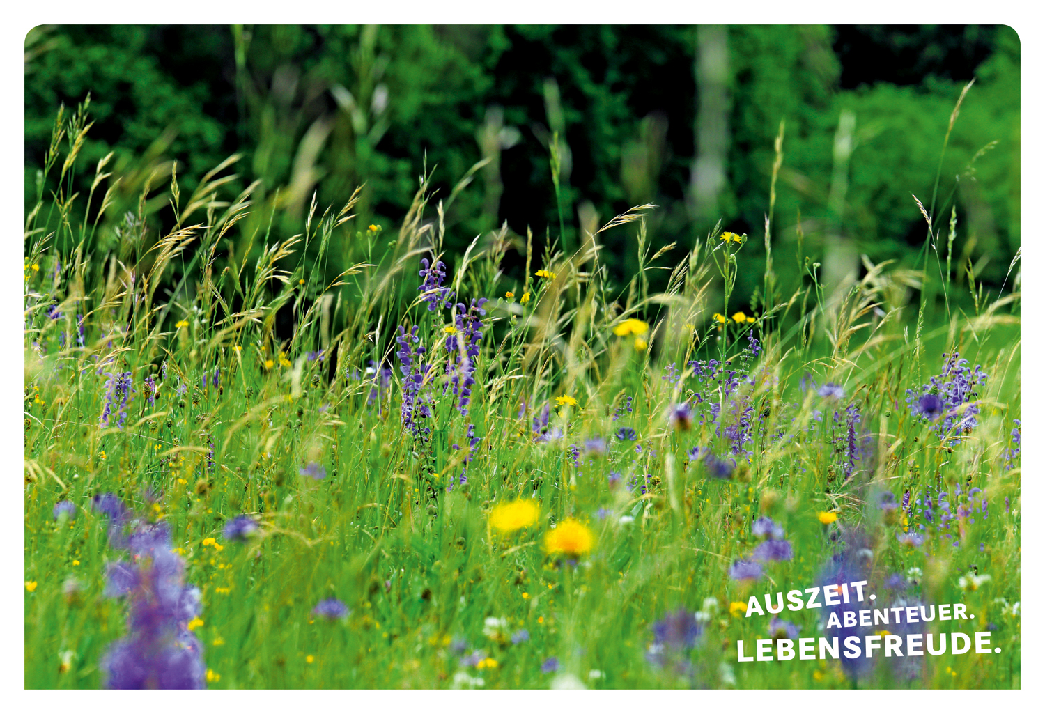 9783770180707_innenansicht_01.jpg