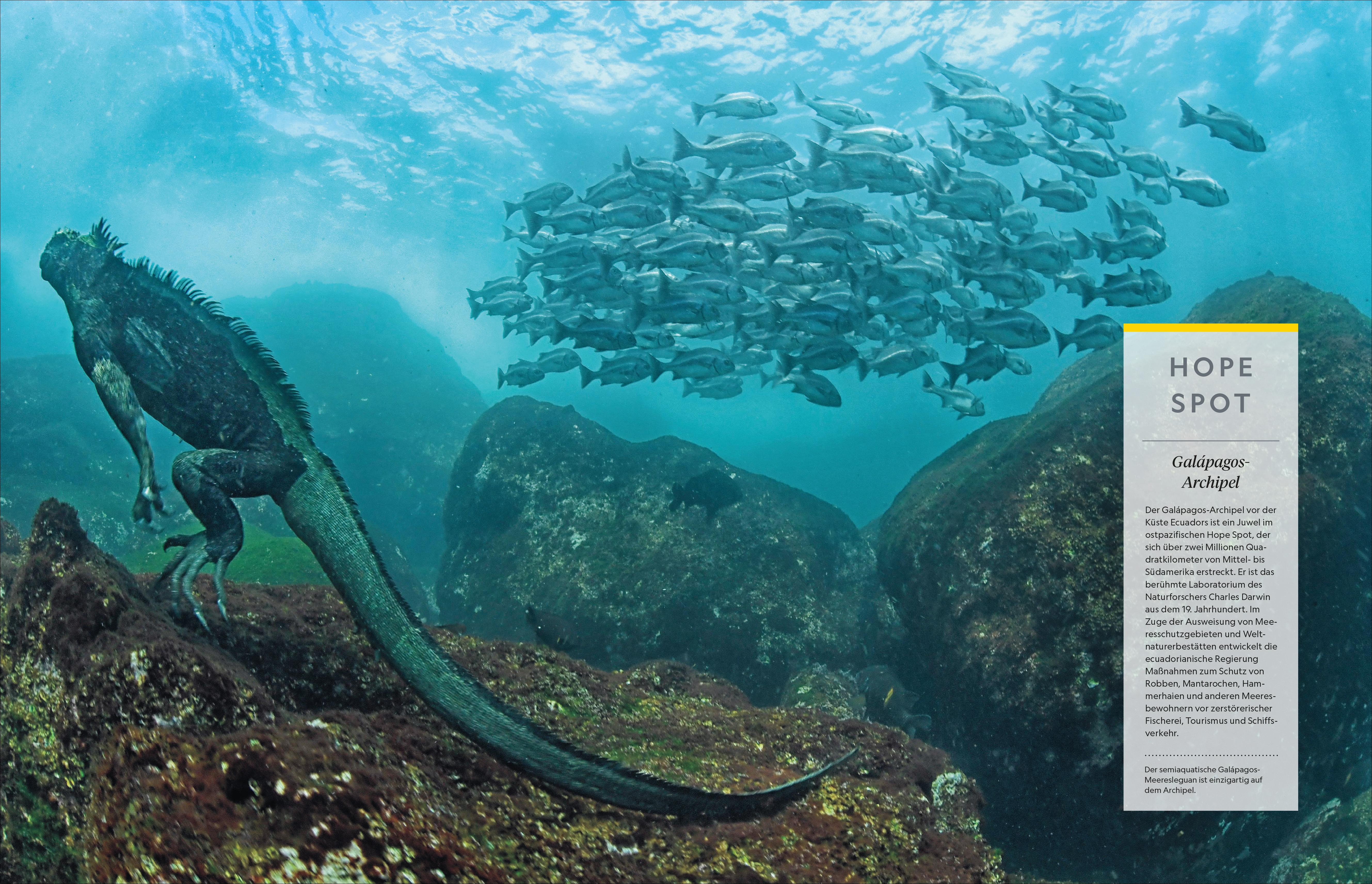 9783866907867_innenansicht_02 9783866907867_innenansicht_02.jpg