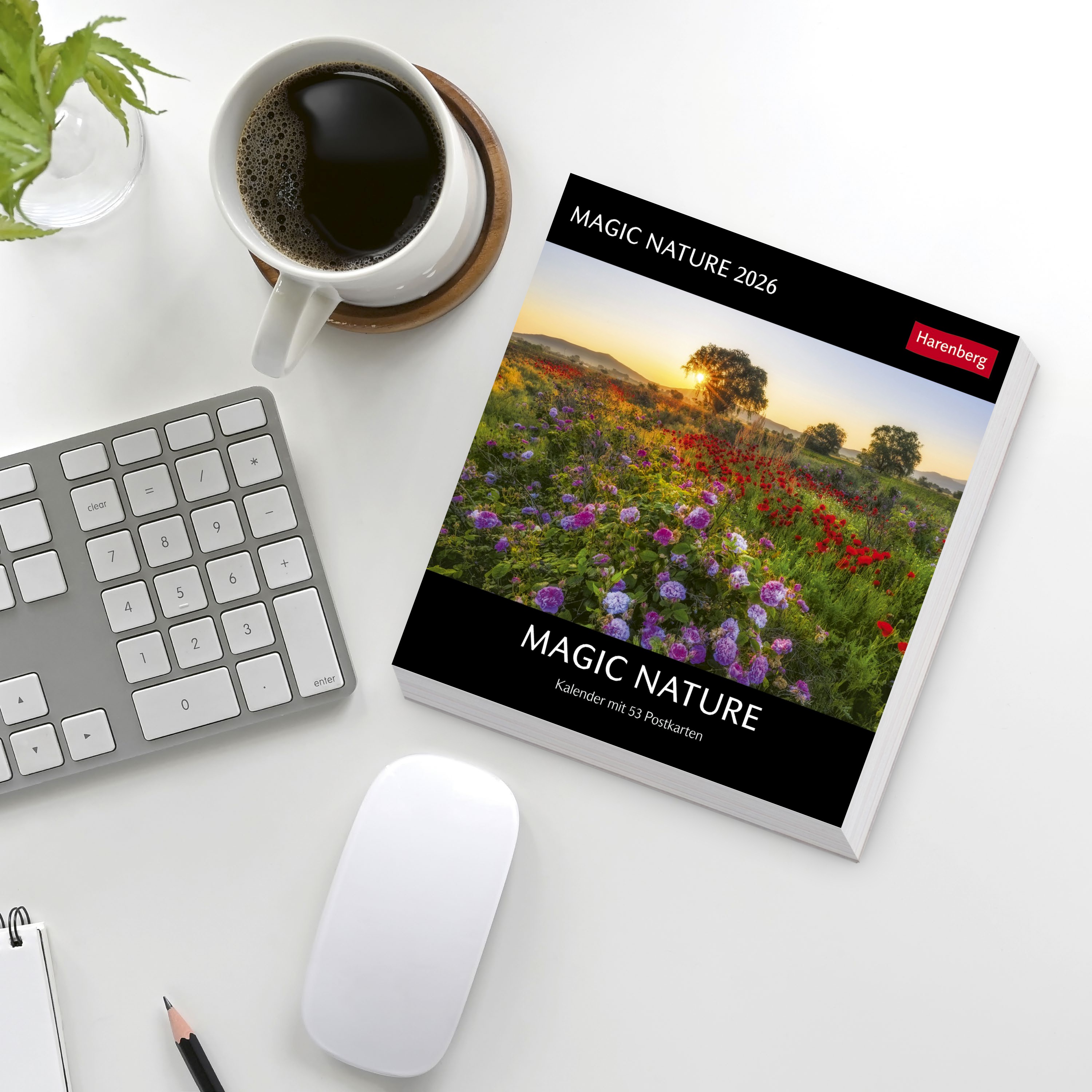 9783840036767_weiterecover_01 9783840036767_weiterecover_01.jpg