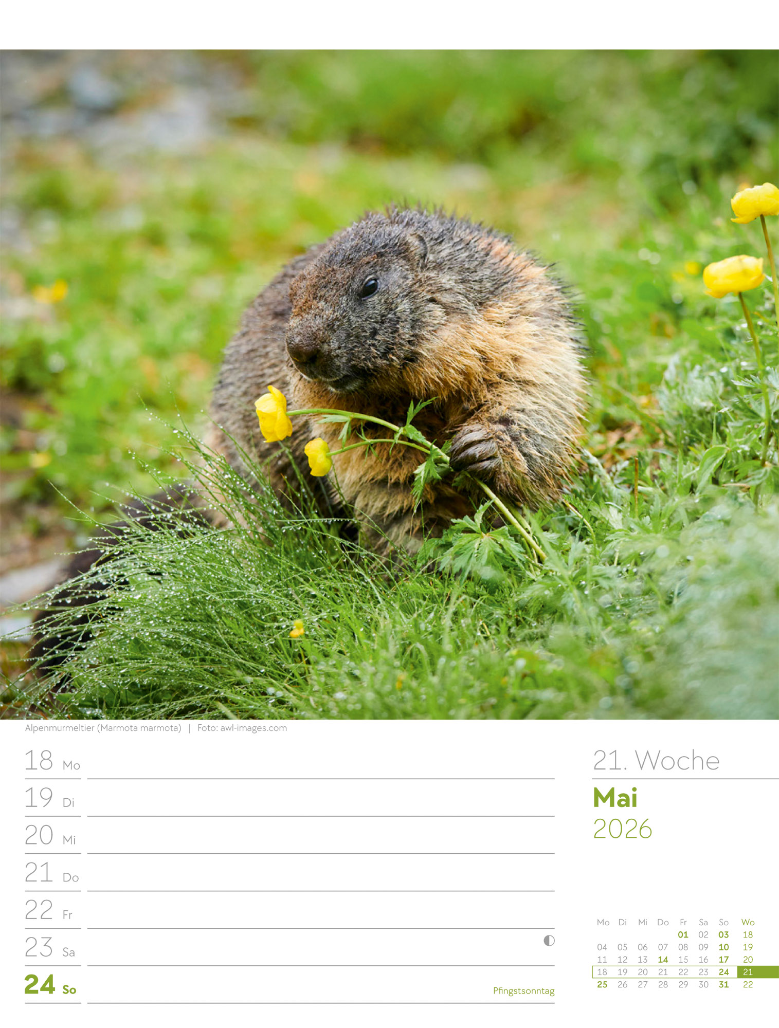 9783838436029_innenansicht_24 9783838436029_innenansicht_24.jpg