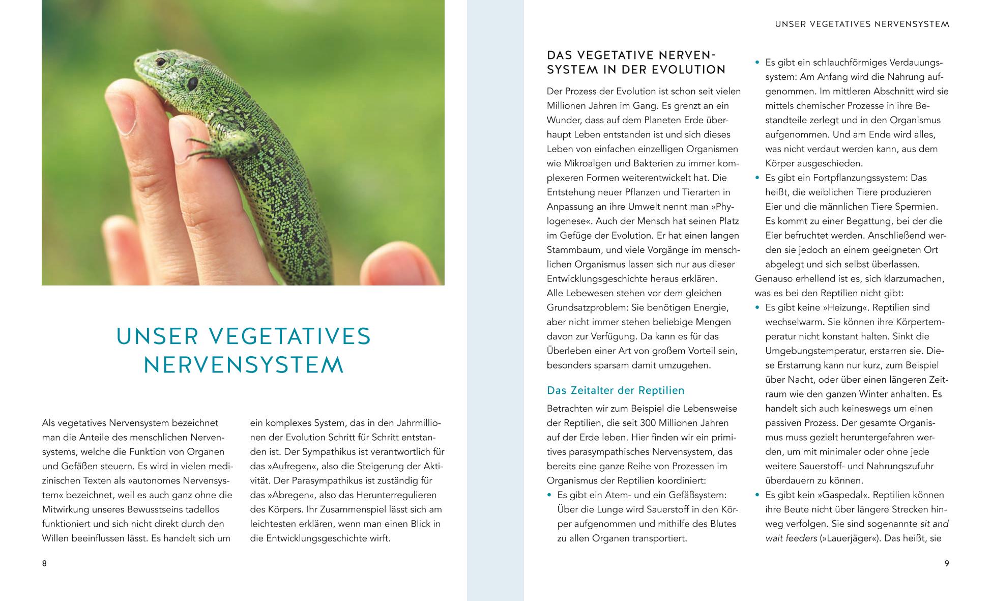 9783833878794_innenansicht_02 9783833878794_innenansicht_02.jpg