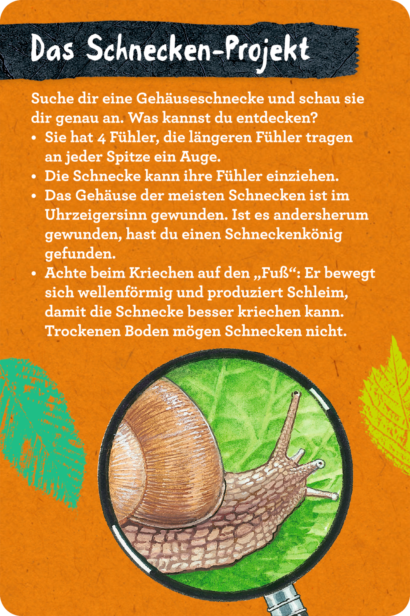 9783649647300_innenansicht_02 9783649647300_innenansicht_02.jpg