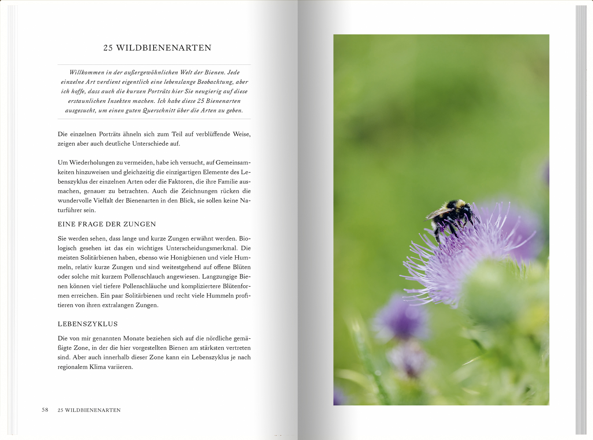 9783784357935_innenansicht_03 9783784357935_innenansicht_03.jpg