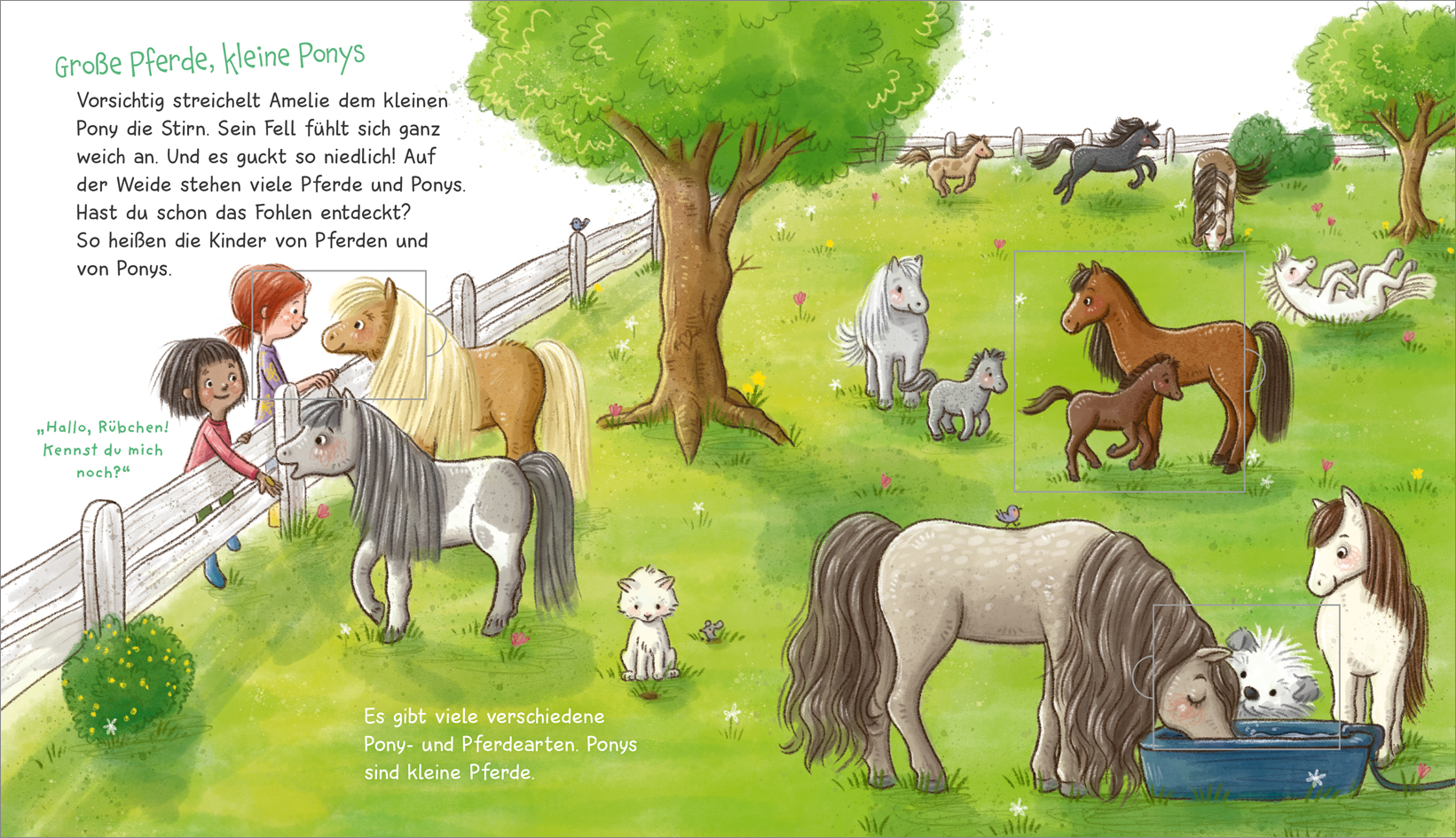 9783788643843_innenansicht_02 9783788643843_innenansicht_02.jpg