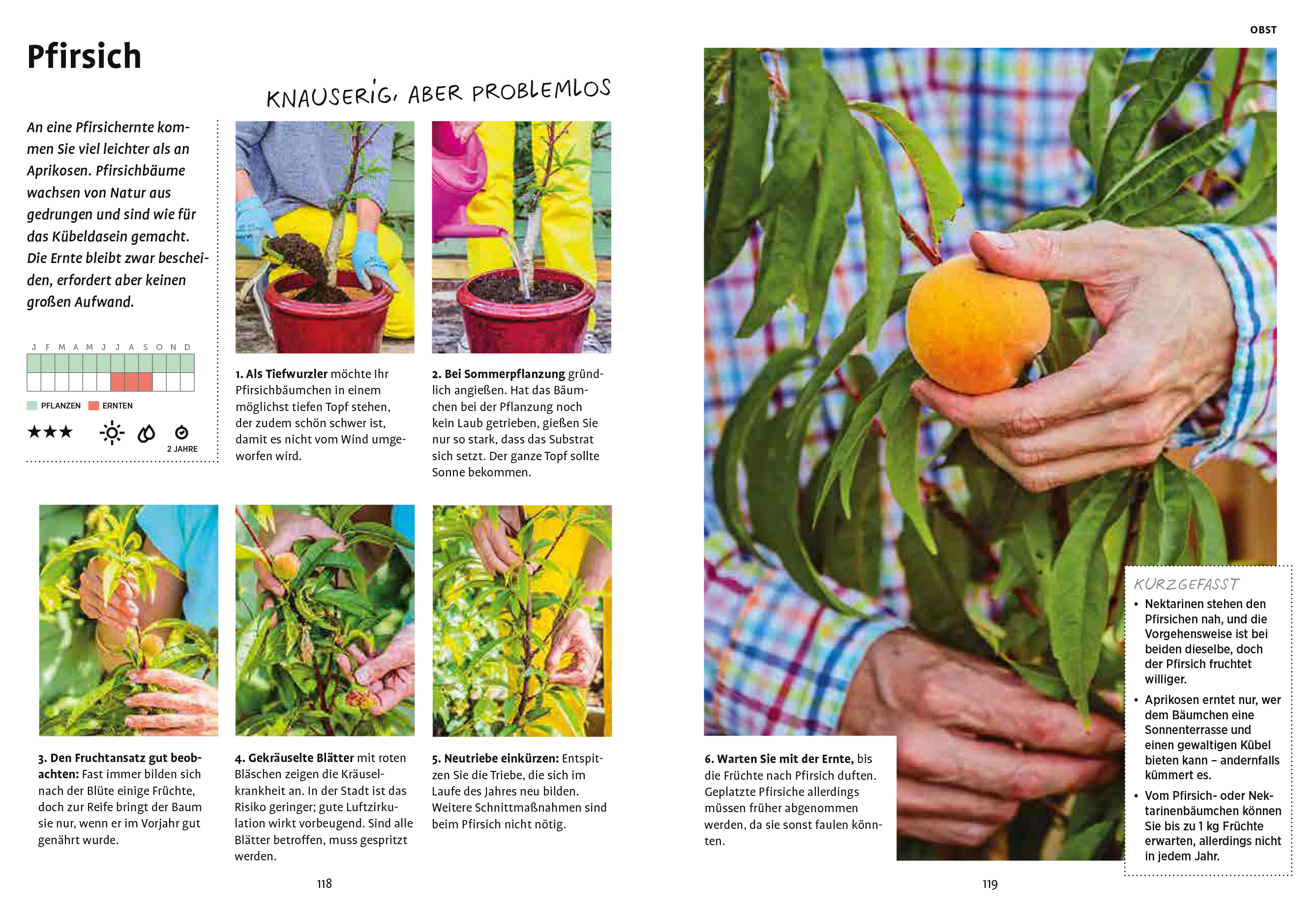 9783818610289_innenansicht_07 9783818610289_innenansicht_07.jpg