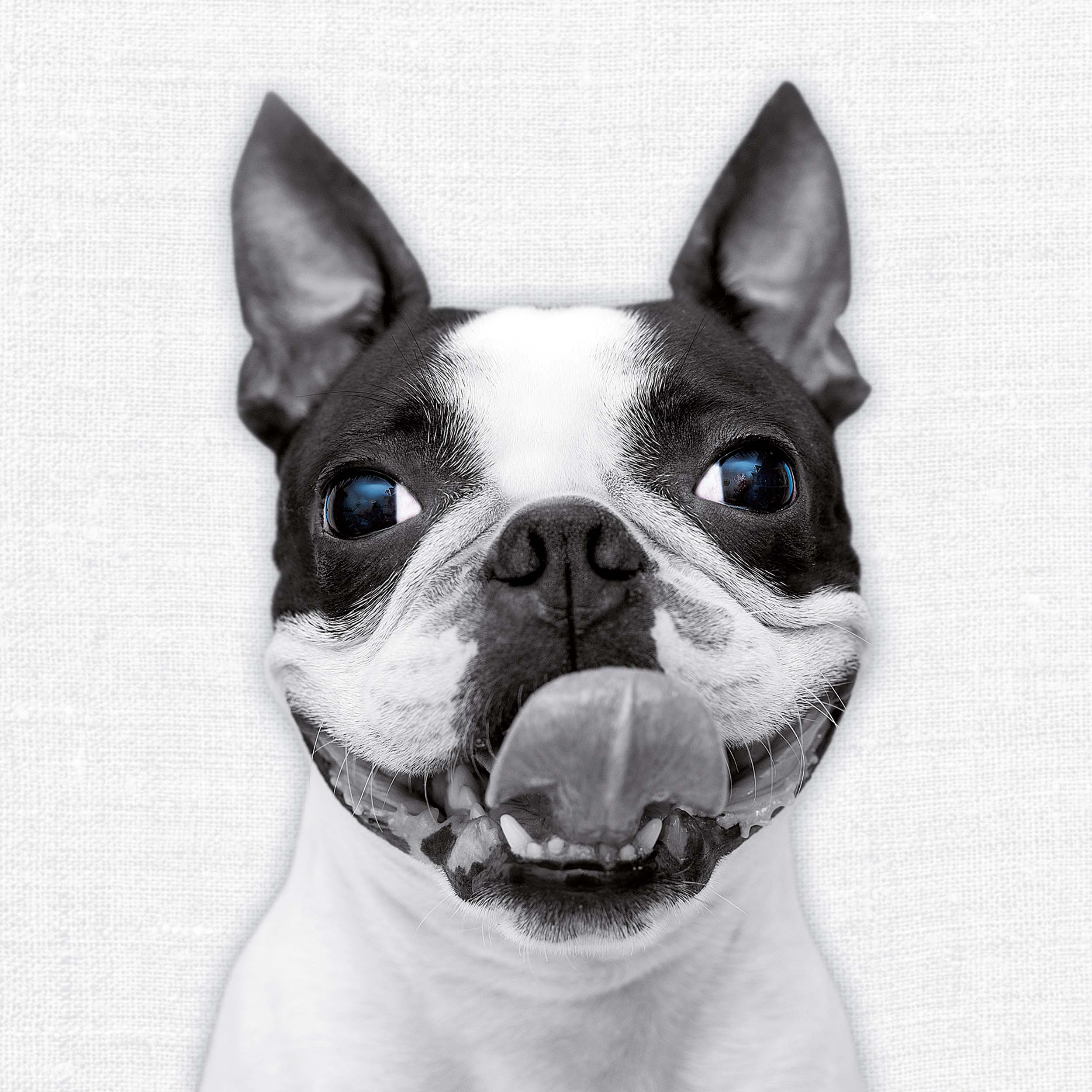 9783959295284_innenansicht_02 9783959295284_innenansicht_02.jpg