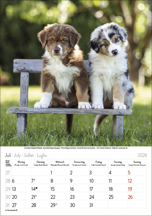 9783731883616_innenansicht_07 9783731883616_innenansicht_07.jpg