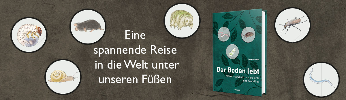 9783258083957_buehnenbild 9783258083957_buehnenbild.jpg