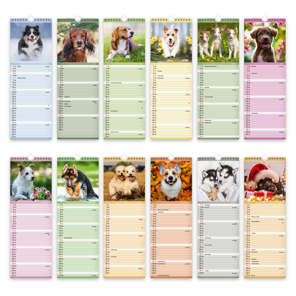 9783988024404_innenansicht_04 9783988024404_innenansicht_04.jpg