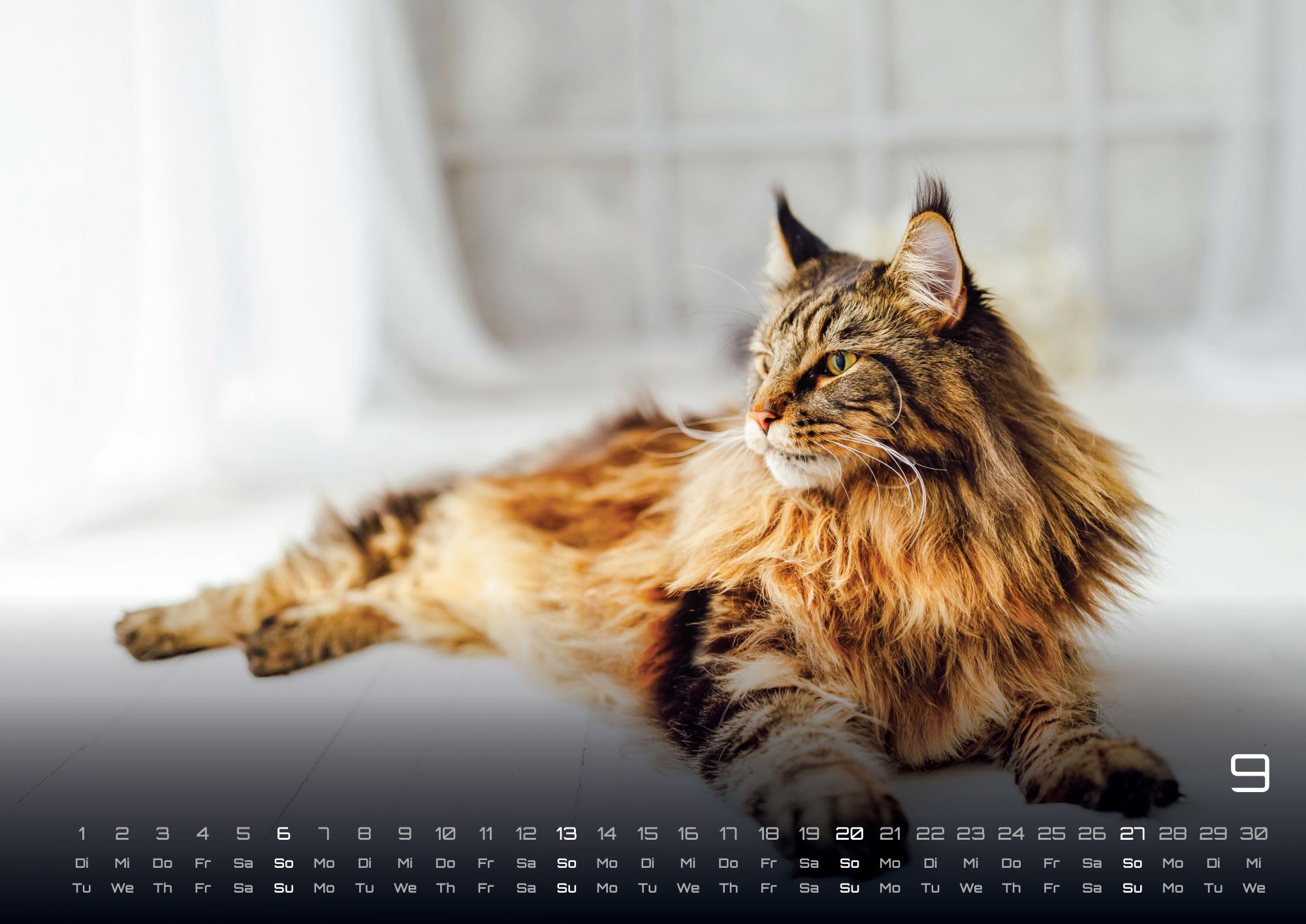 9783986735463_innenansicht_09 9783986735463_innenansicht_09.jpg