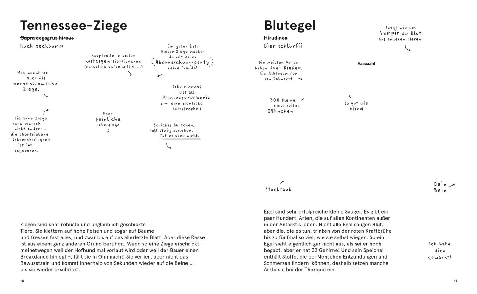 9783551251572_innenansicht_07.jpg