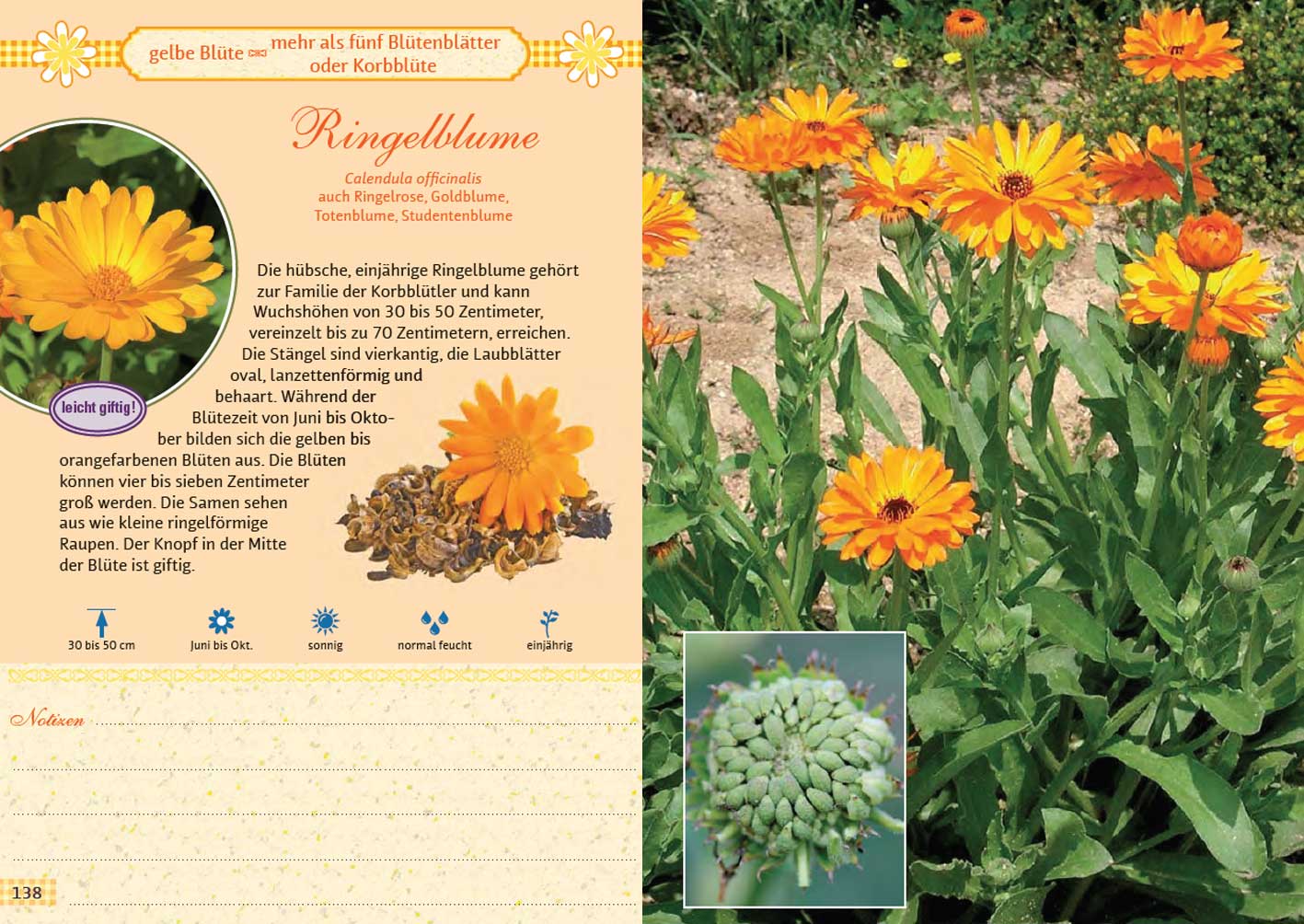 9783809446231_innenansicht_02 9783809446231_innenansicht_02.jpg