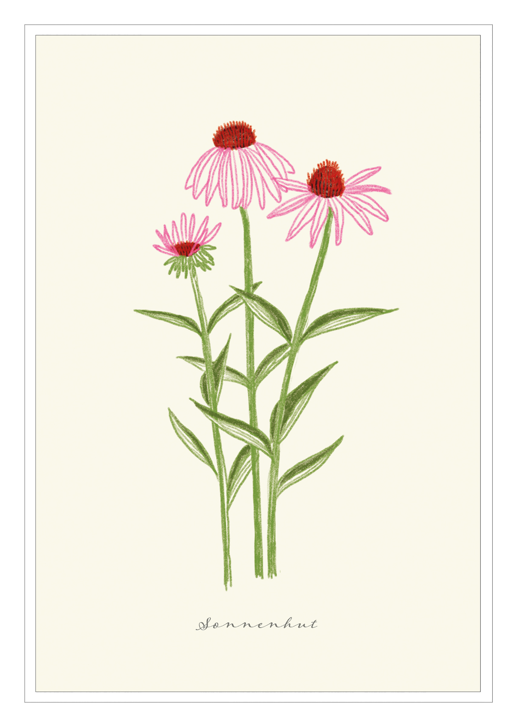 4250222903221_innenansicht_11 4250222903221_innenansicht_11.jpg