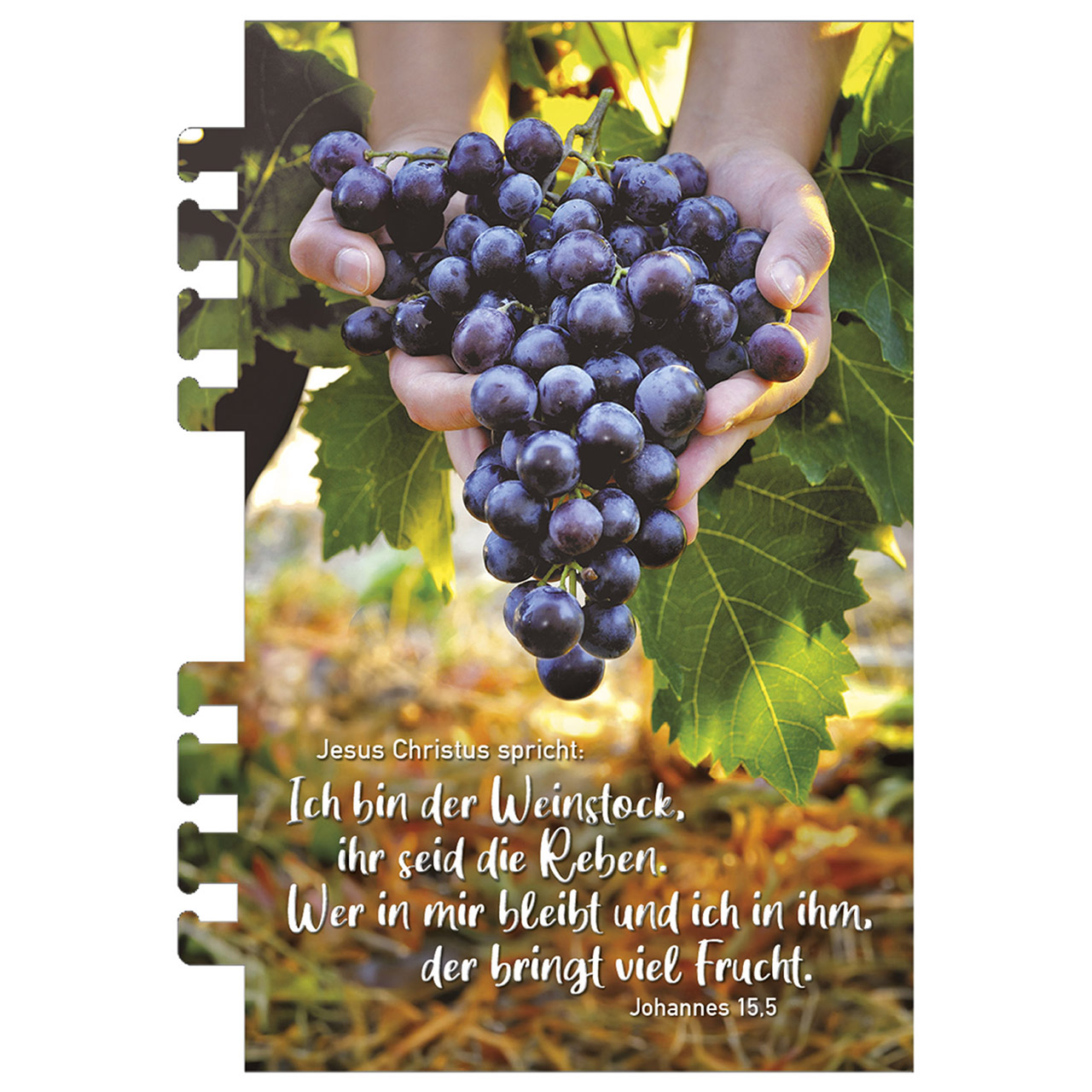 9783754869369_innenansicht_18 9783754869369_innenansicht_18.jpg