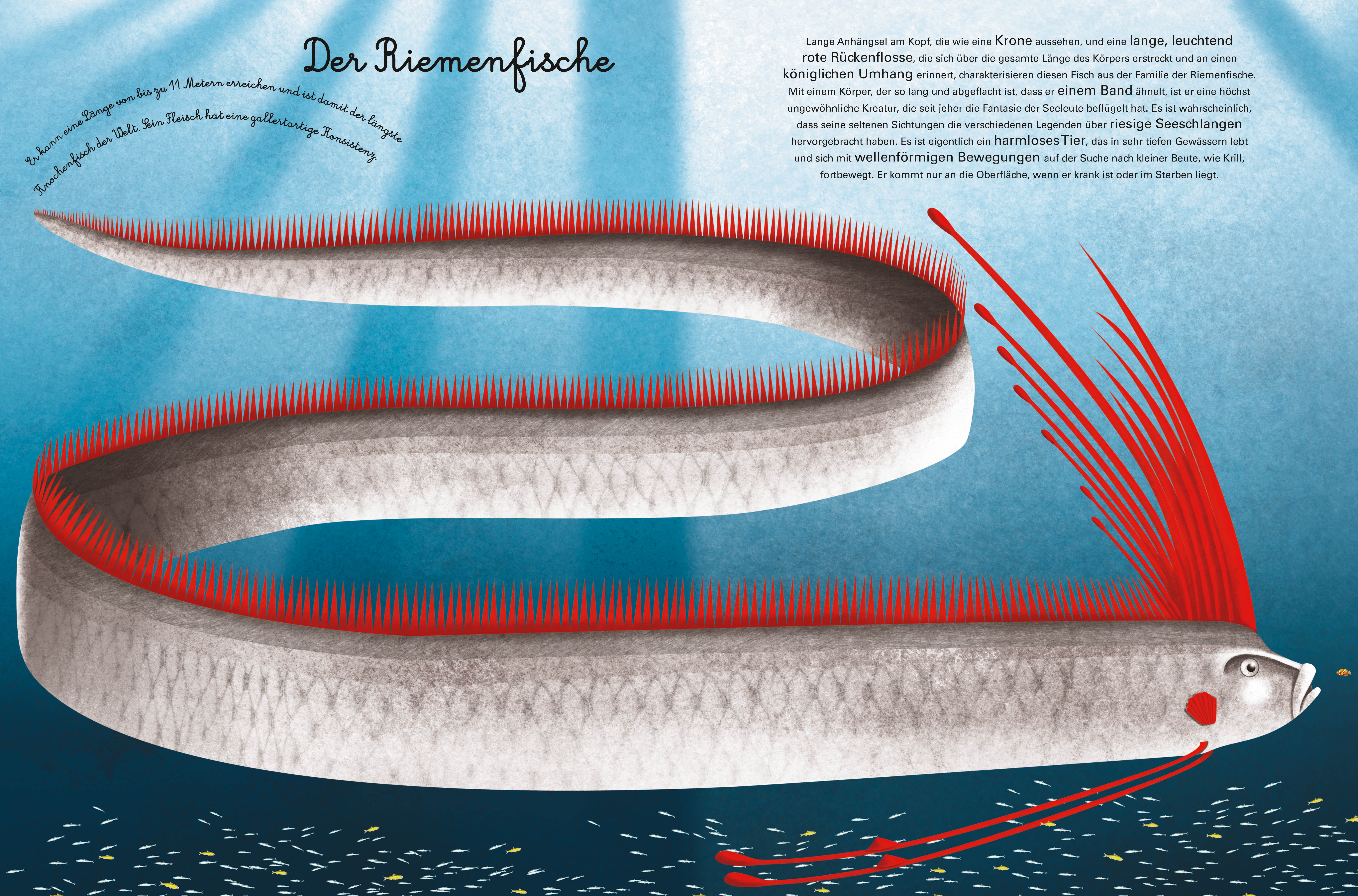 9788863125818_innenansicht_05 9788863125818_innenansicht_05.jpg