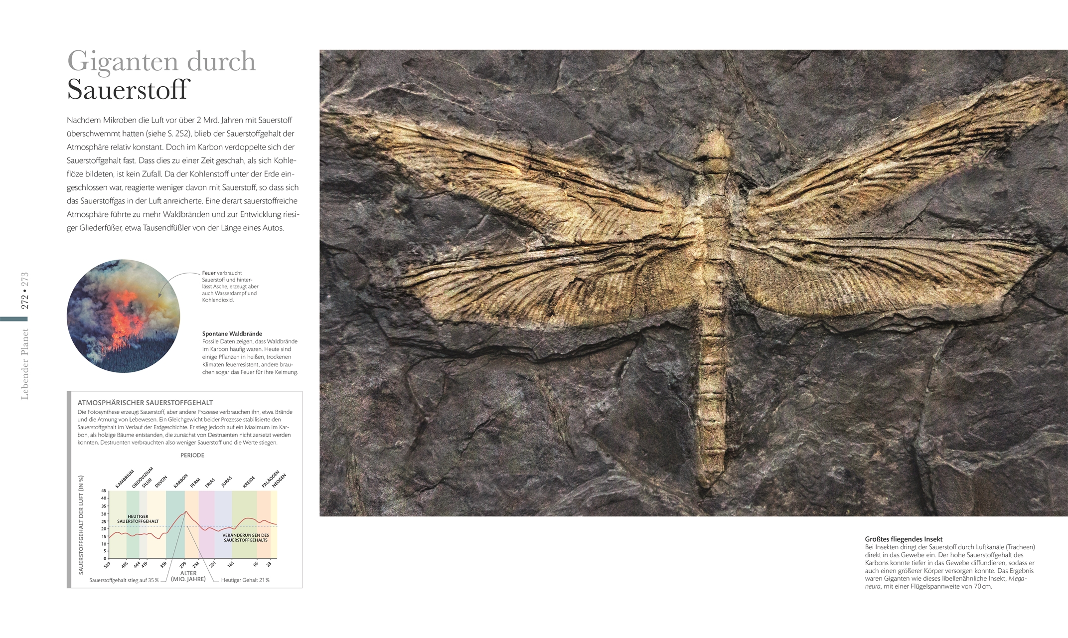 9783831047352_innenansicht_08 9783831047352_innenansicht_08.jpg