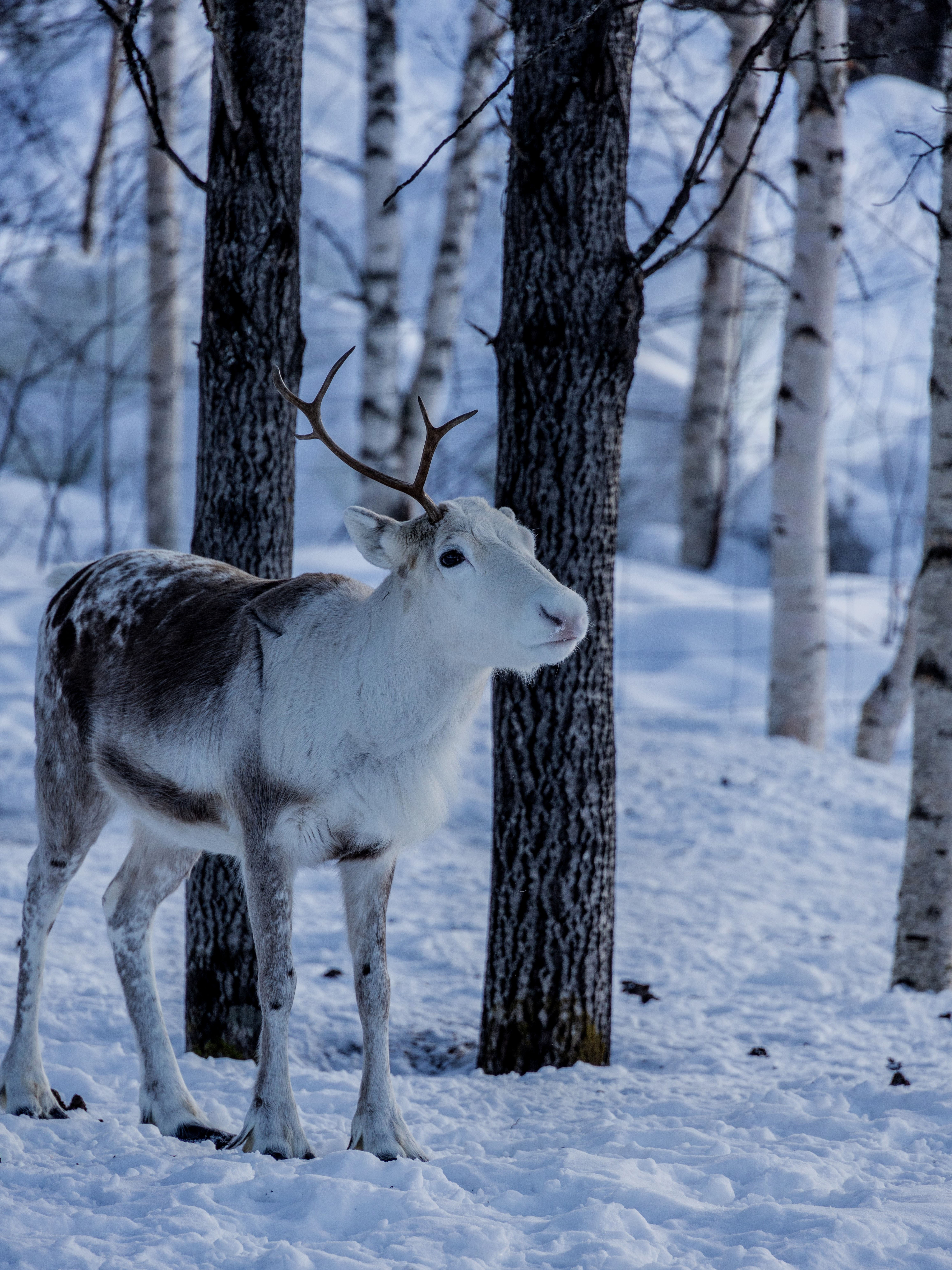 9783959619394_innenansicht_10 9783959619394_innenansicht_10.jpg