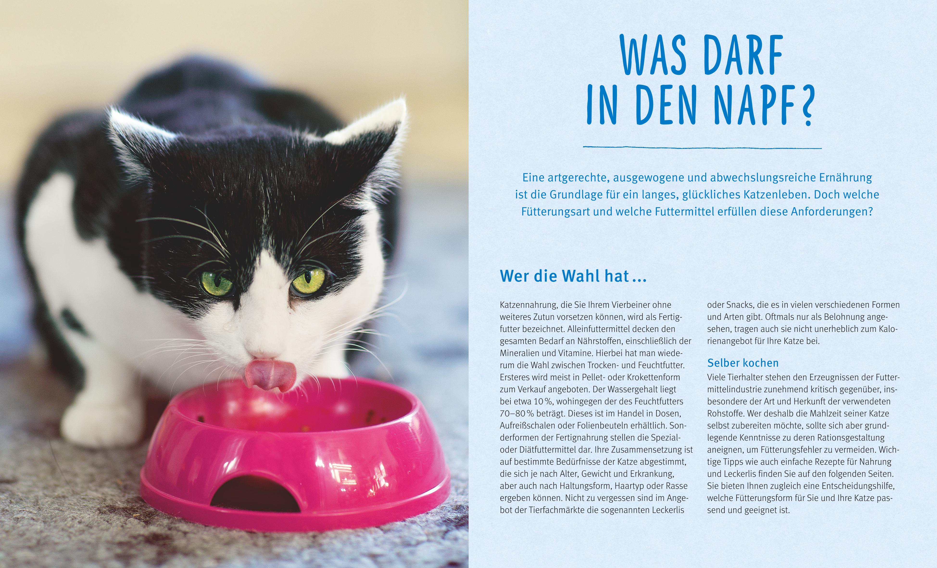 9783833852206_innenansicht_02.jpg