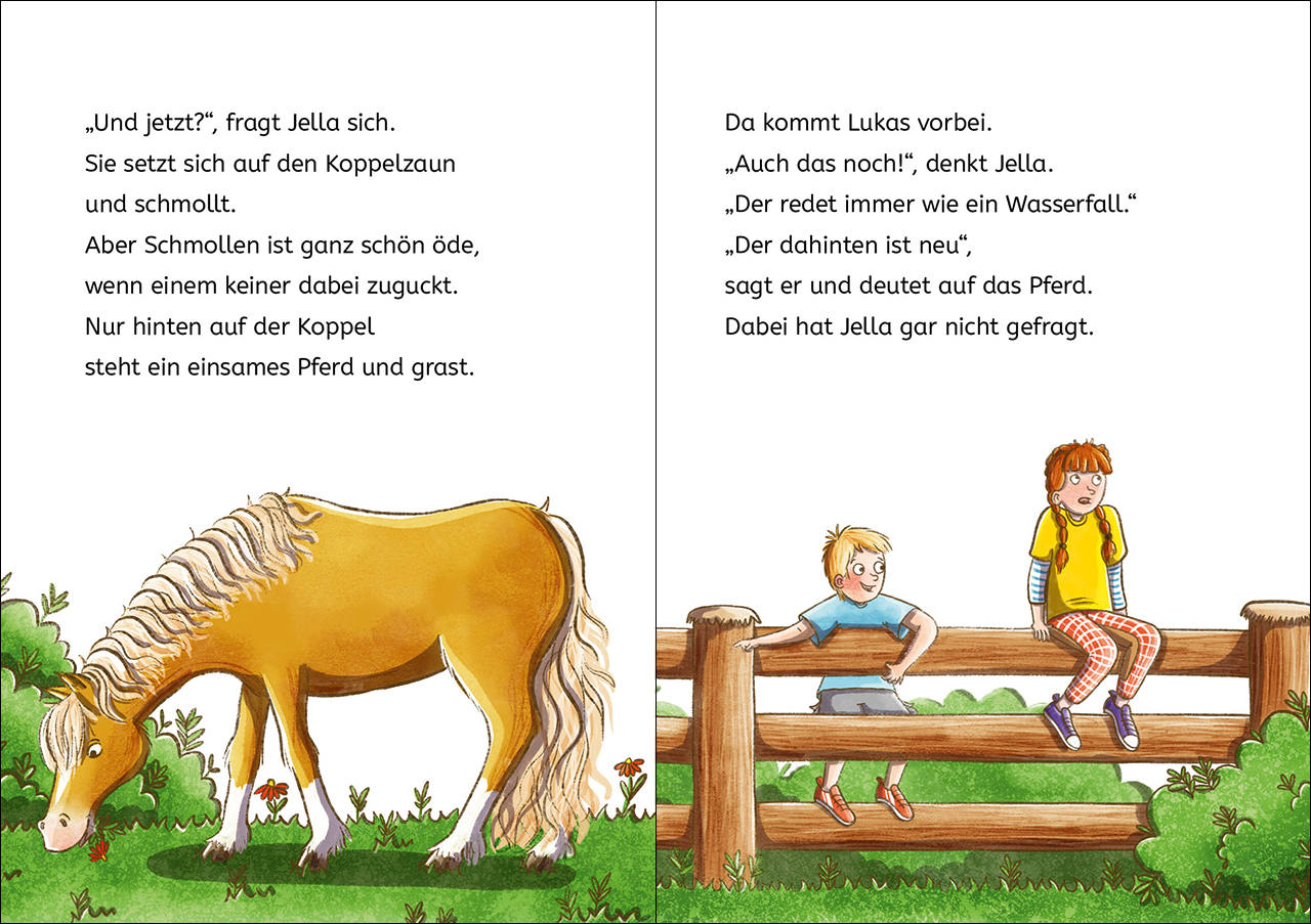 9783743211735_innenansicht_02.jpg