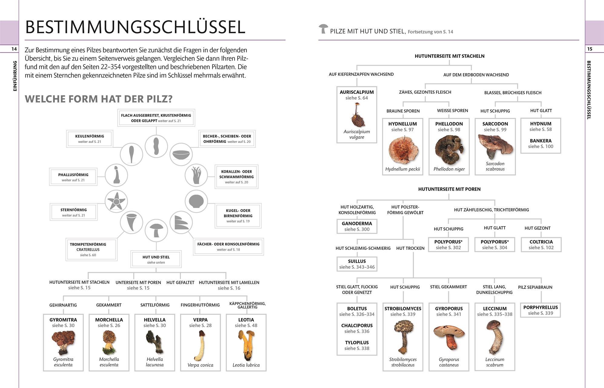 9783831036134_innenansicht_05.jpg