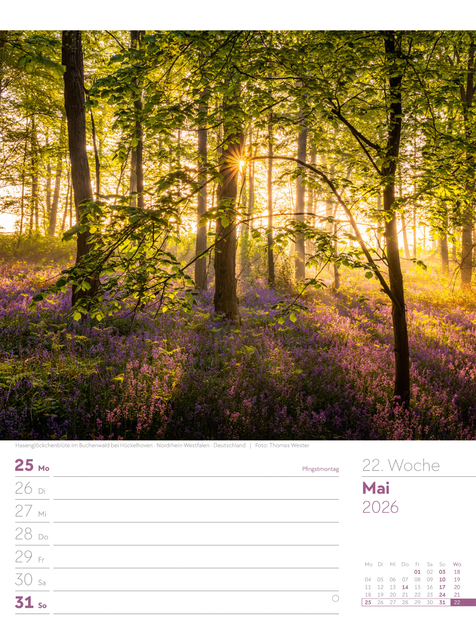 9783838426976_innenansicht_25 9783838426976_innenansicht_25.jpg