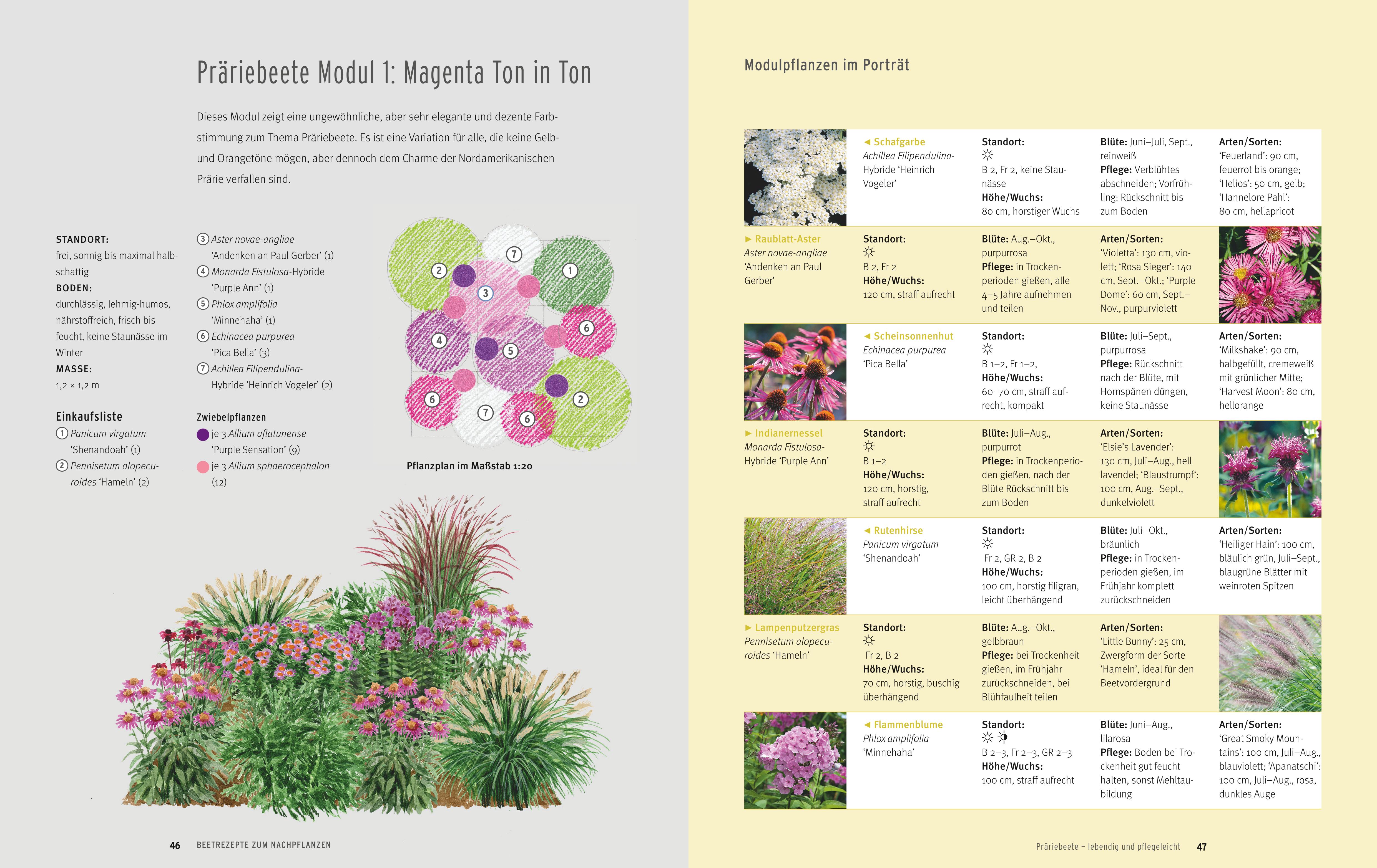 9783833855801_innenansicht_04 9783833855801_innenansicht_04.jpg