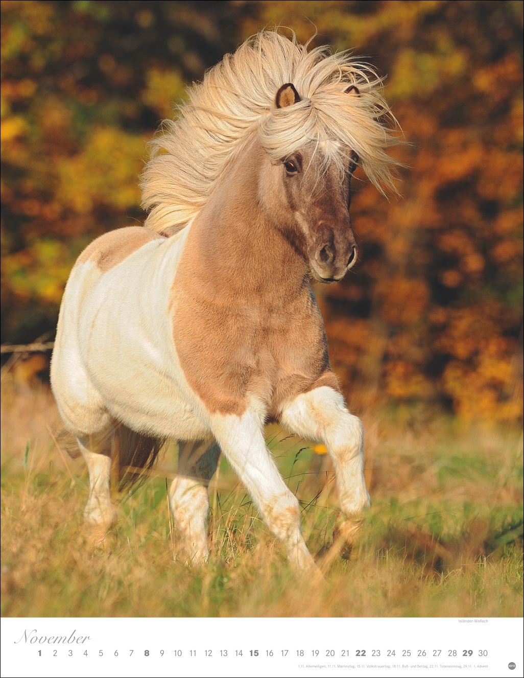 9783756410675_innenansicht_11.jpg