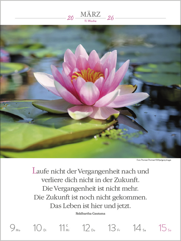 9783731884385_innenansicht_02.jpg
