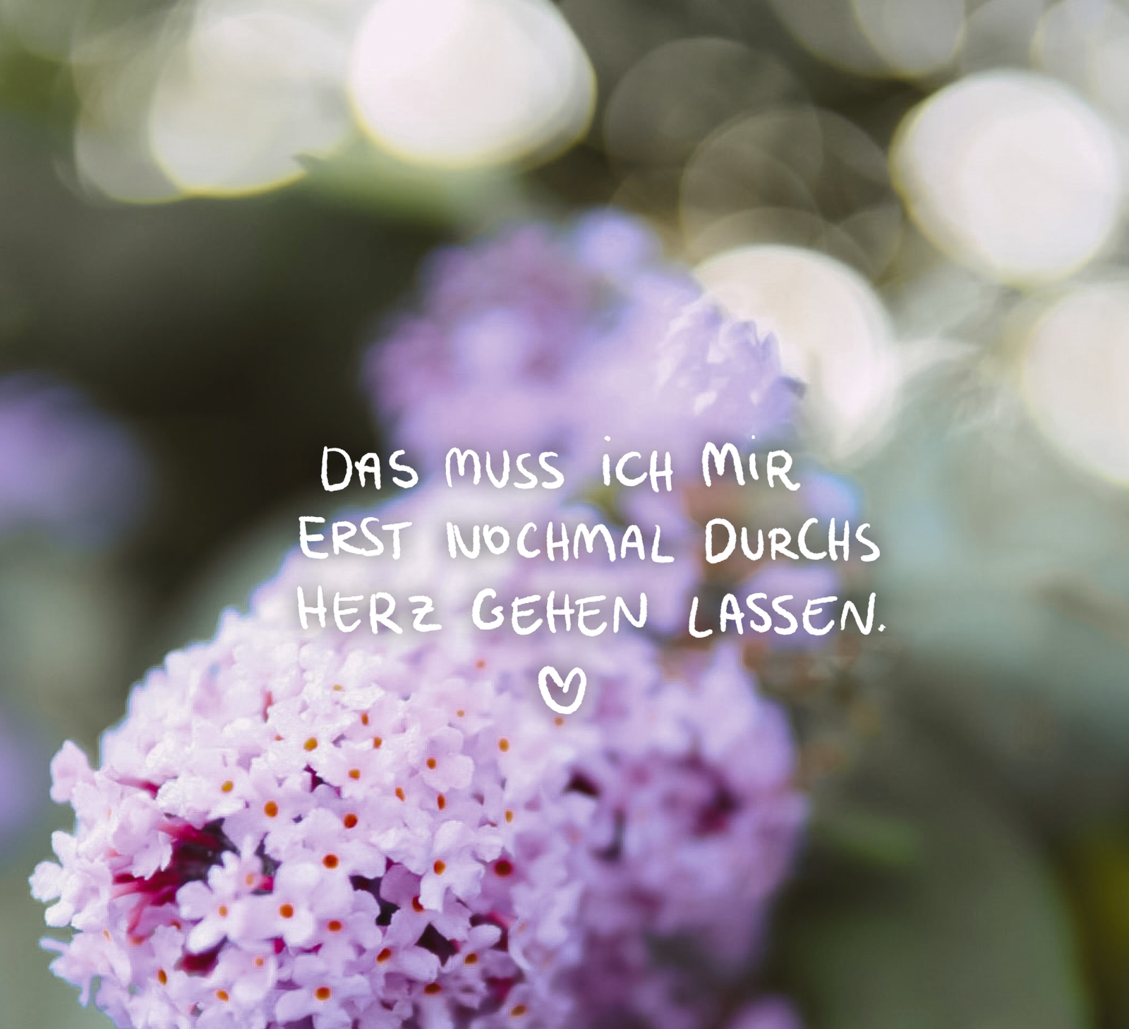 9783848503698_innenansicht_01.png