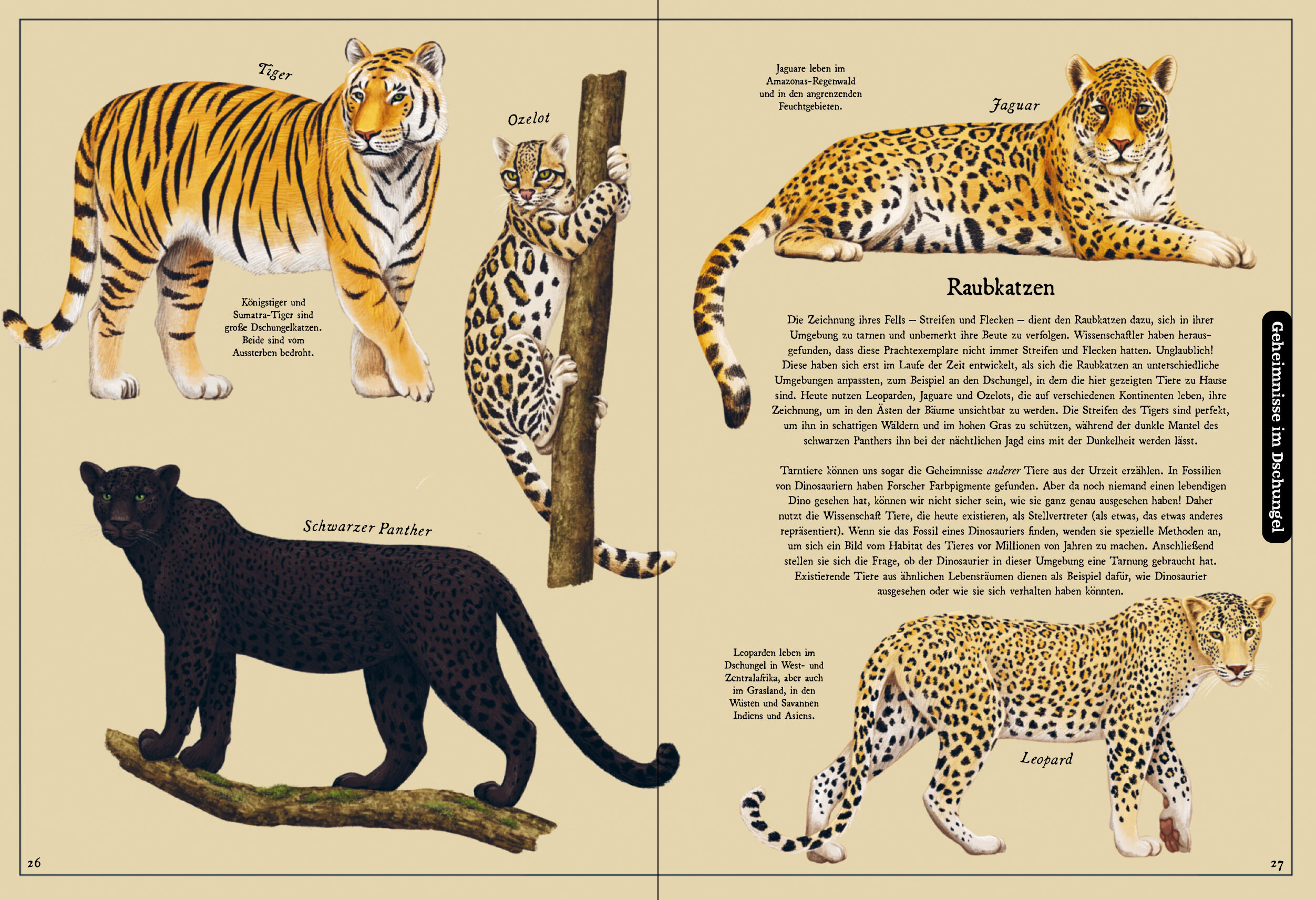 9783791375847_innenansicht_05 9783791375847_innenansicht_05.jpg