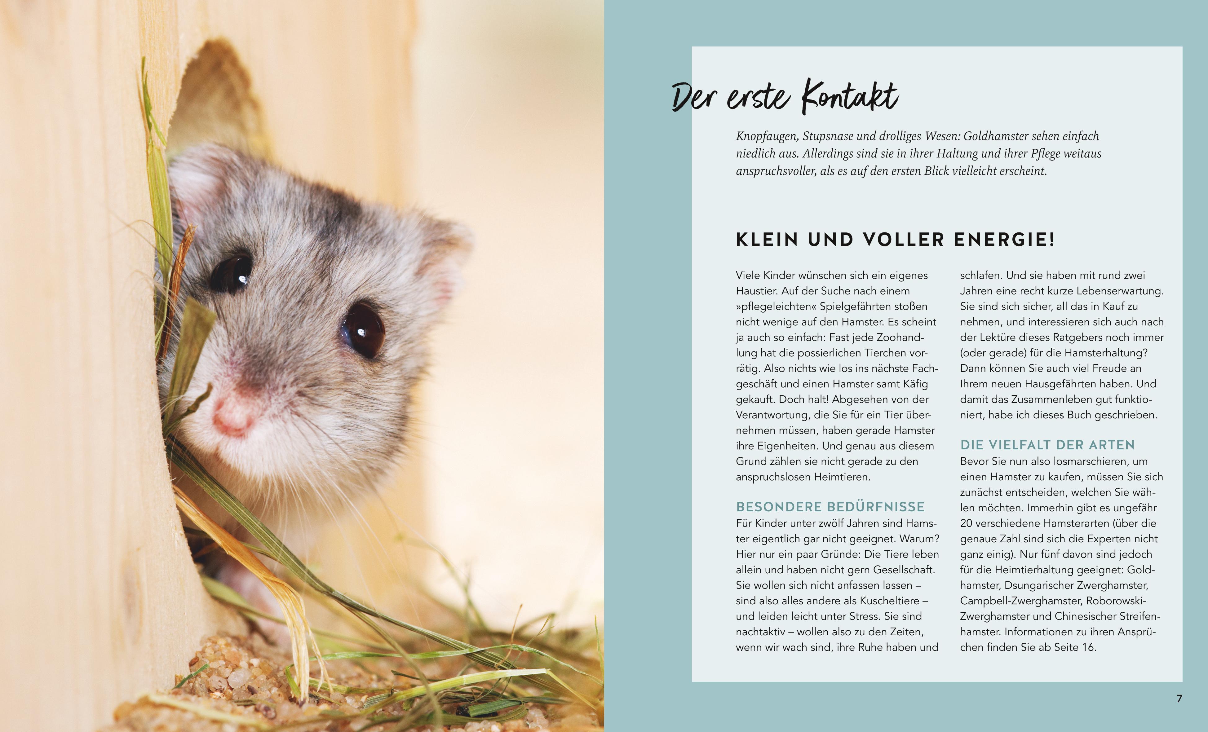 9783833897368_innenansicht_02.jpg