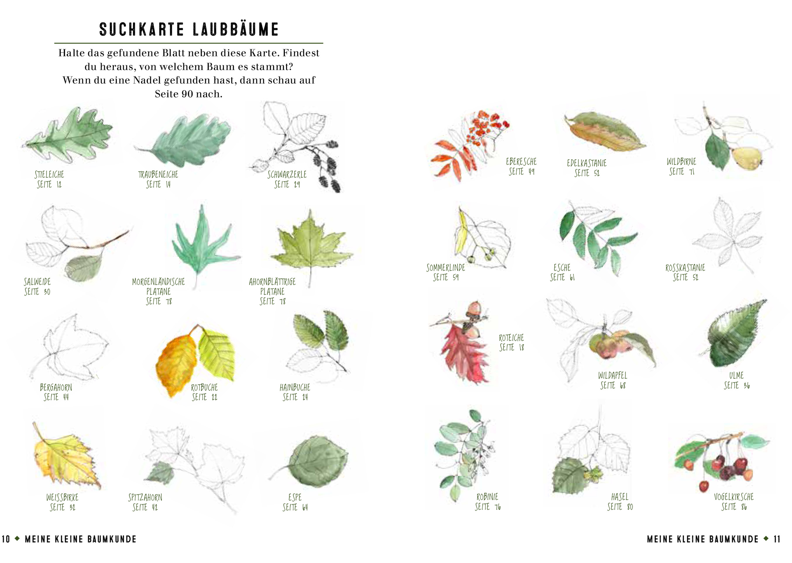 9783959102681_innenansicht_01 9783959102681_innenansicht_01.jpg