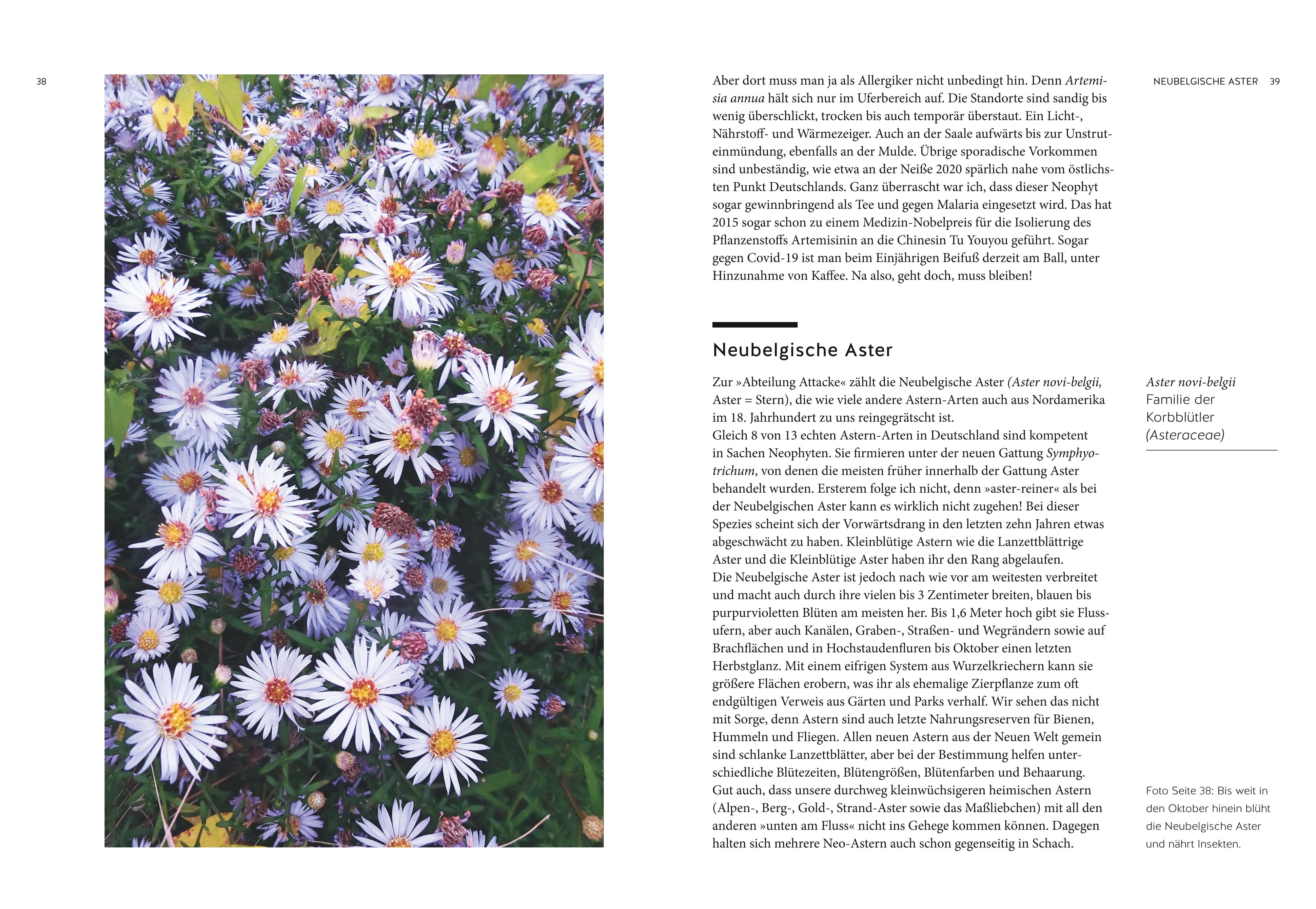 9783833880292_innenansicht_09 9783833880292_innenansicht_09.jpg